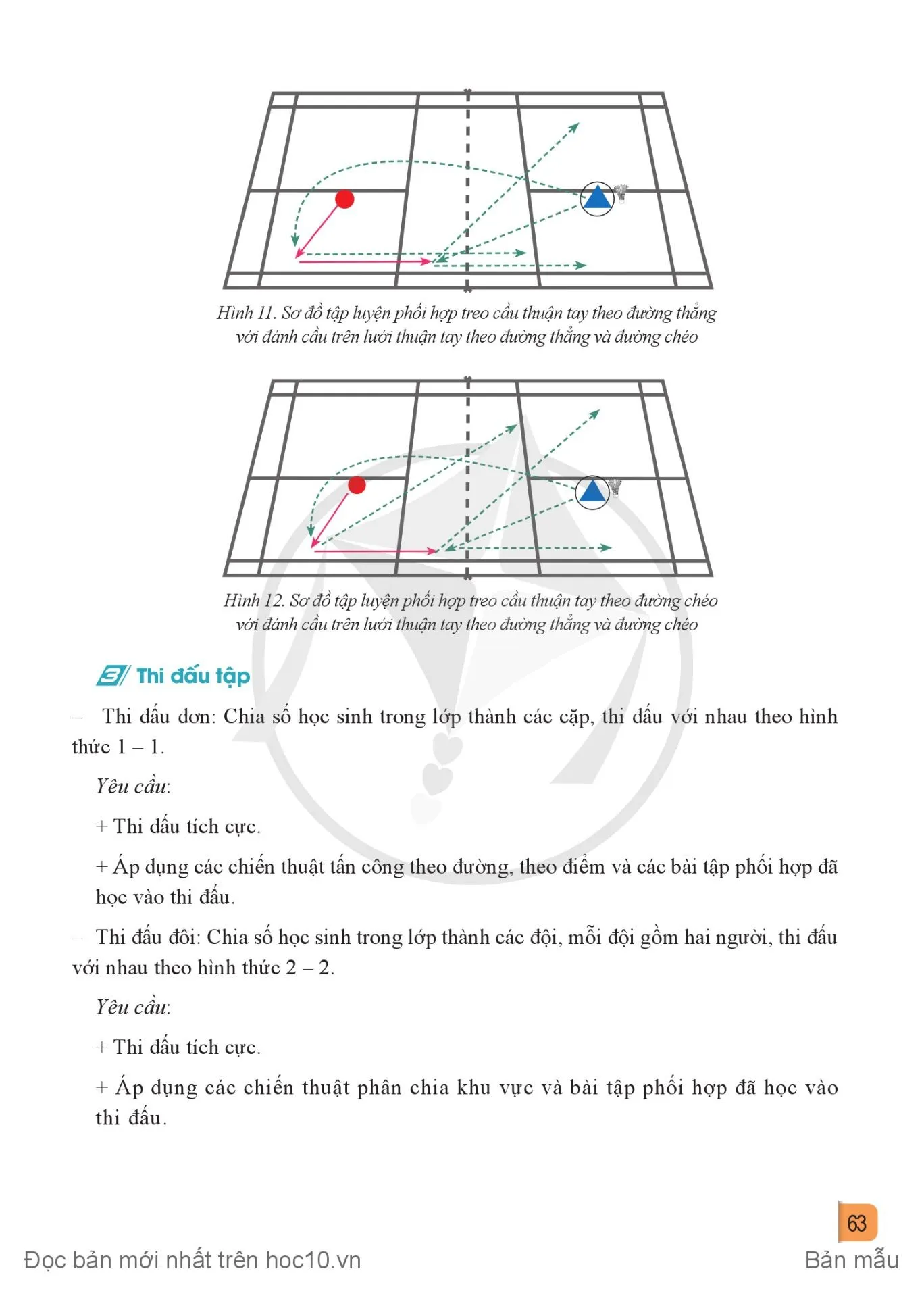 Bài 2. Chiến thuật đánh cầu tấn công theo điểm và phối hợp một số kĩ thuật cơ bản