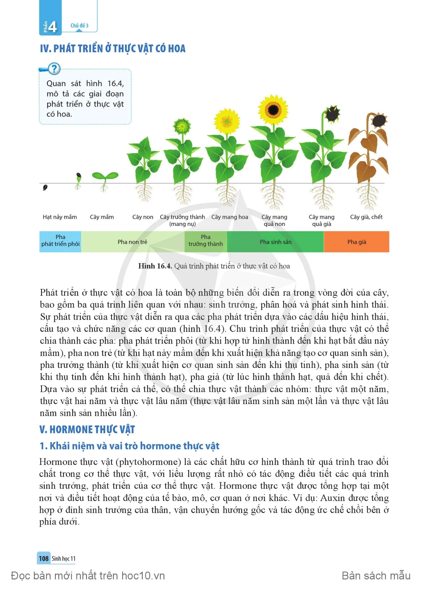 Bài 16. Sinh trưởng và phát triển ở thực vật