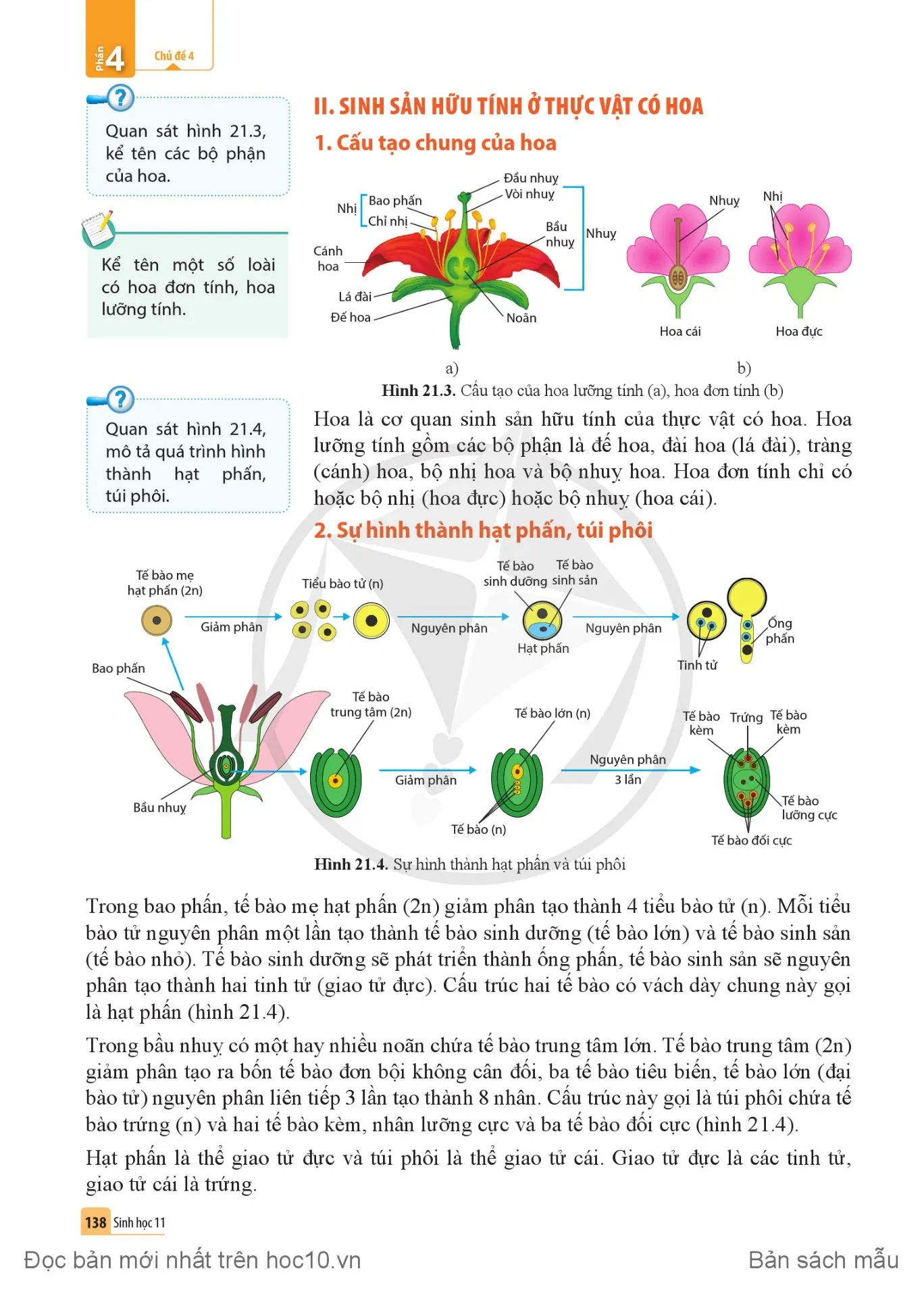 Bài 21. Sinh sản ở thực vật