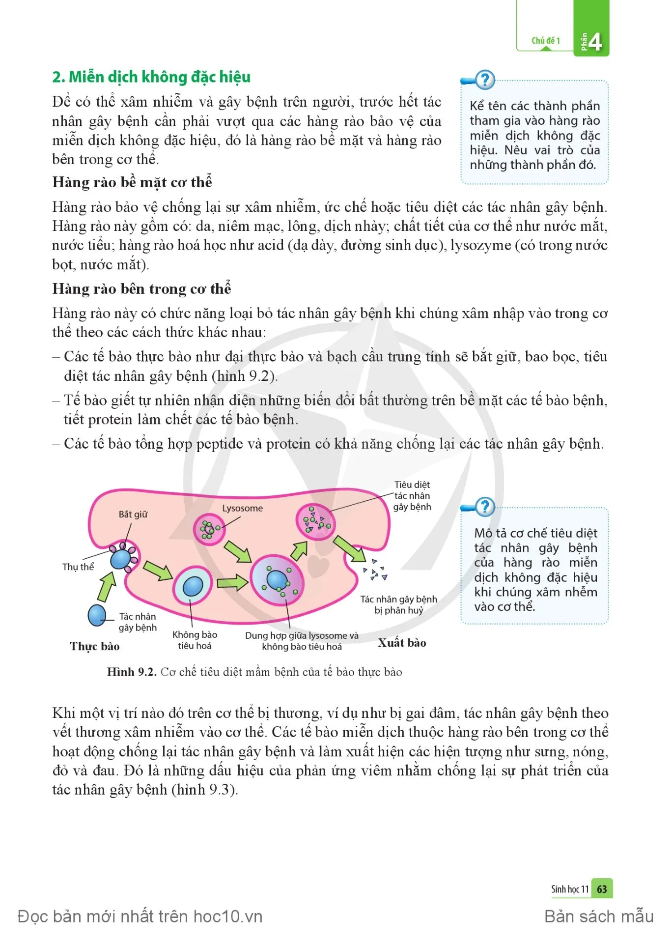 Bài 9. Miễn dịch ở người và động vật