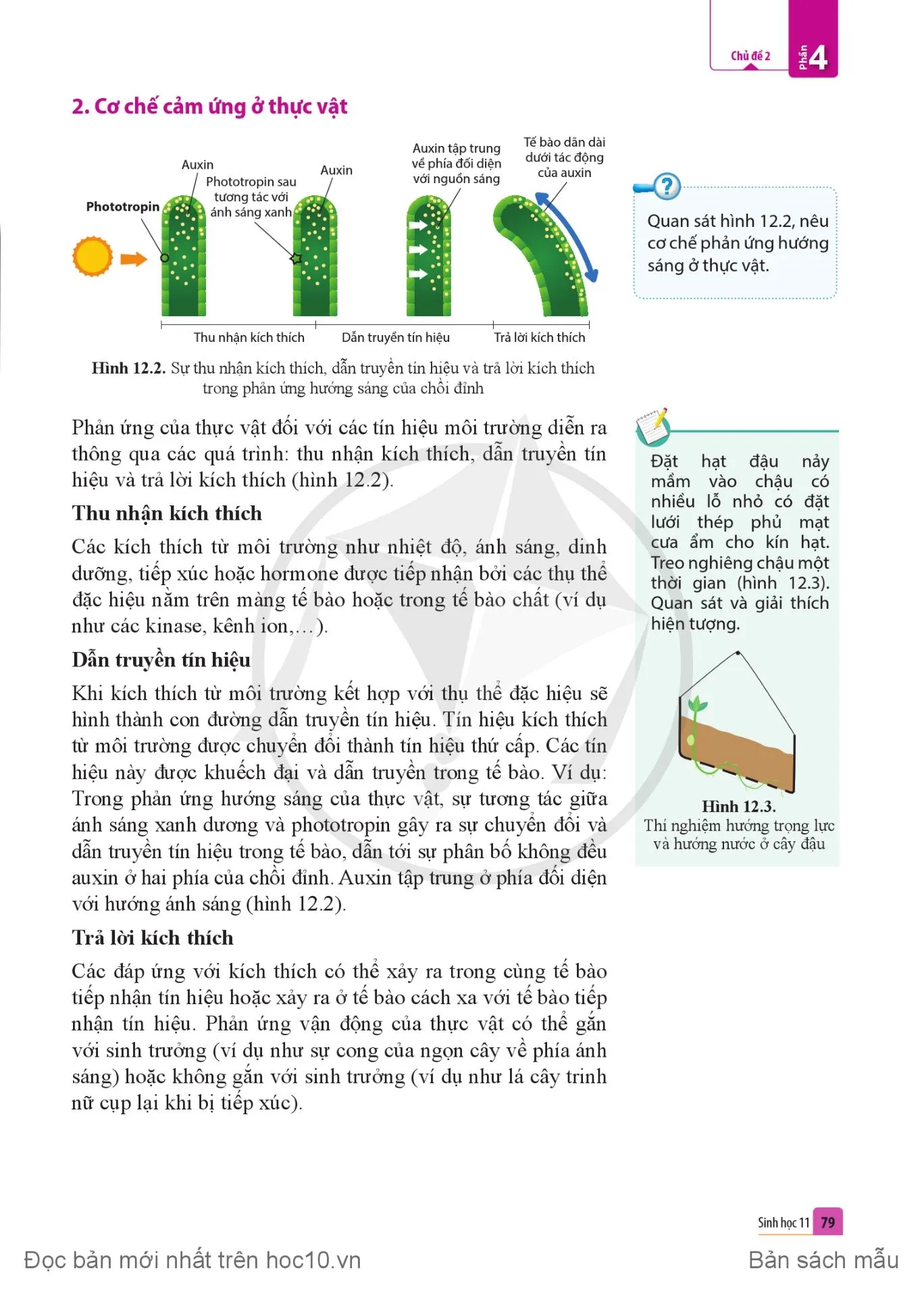 Bài 12. Cảm ứng ở thực vật