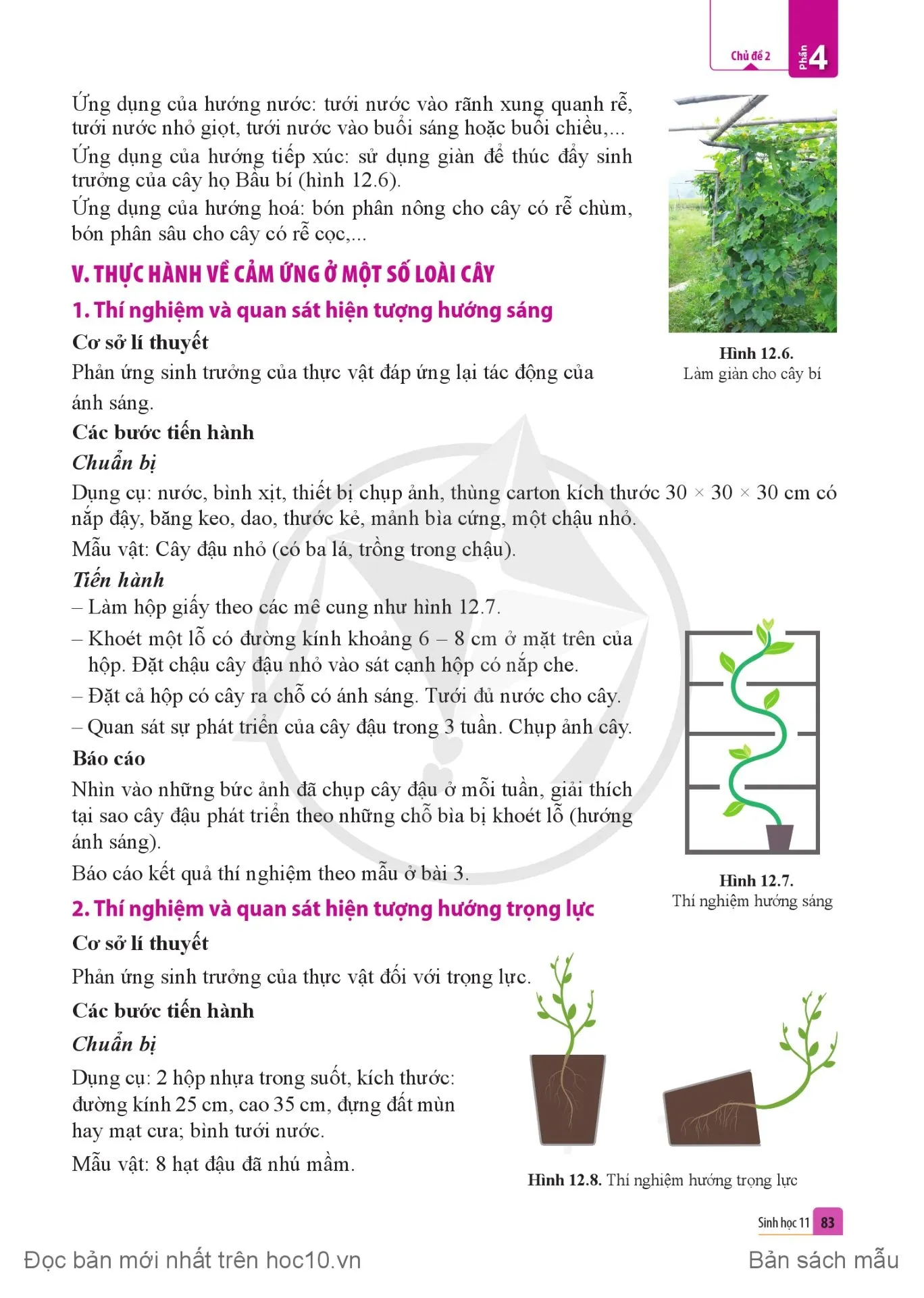 Bài 12. Cảm ứng ở thực vật