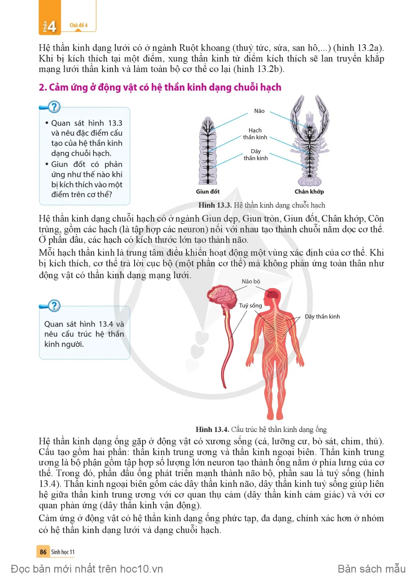 Bài 13. Cảm ứng ở động vật