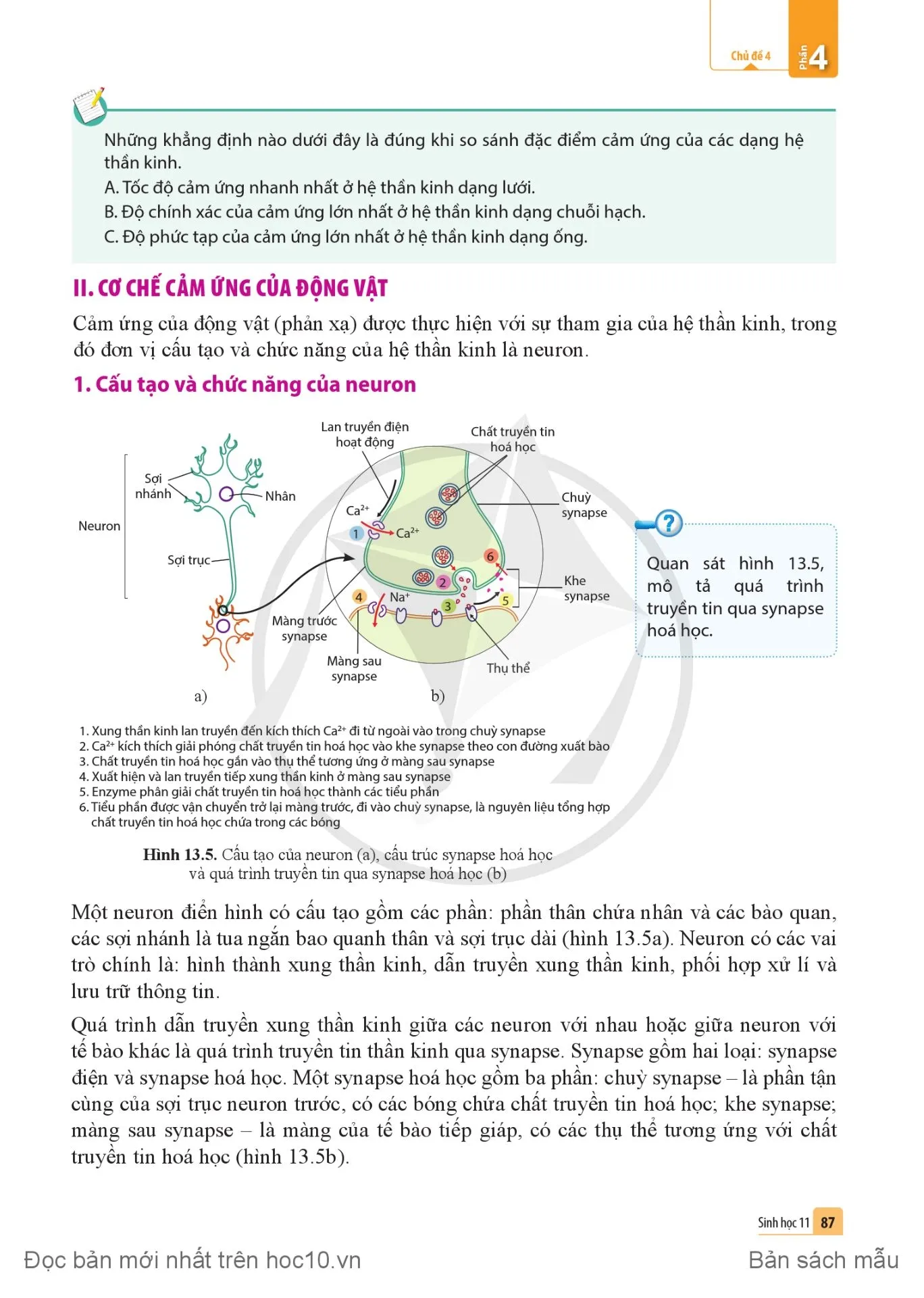 Bài 13. Cảm ứng ở động vật