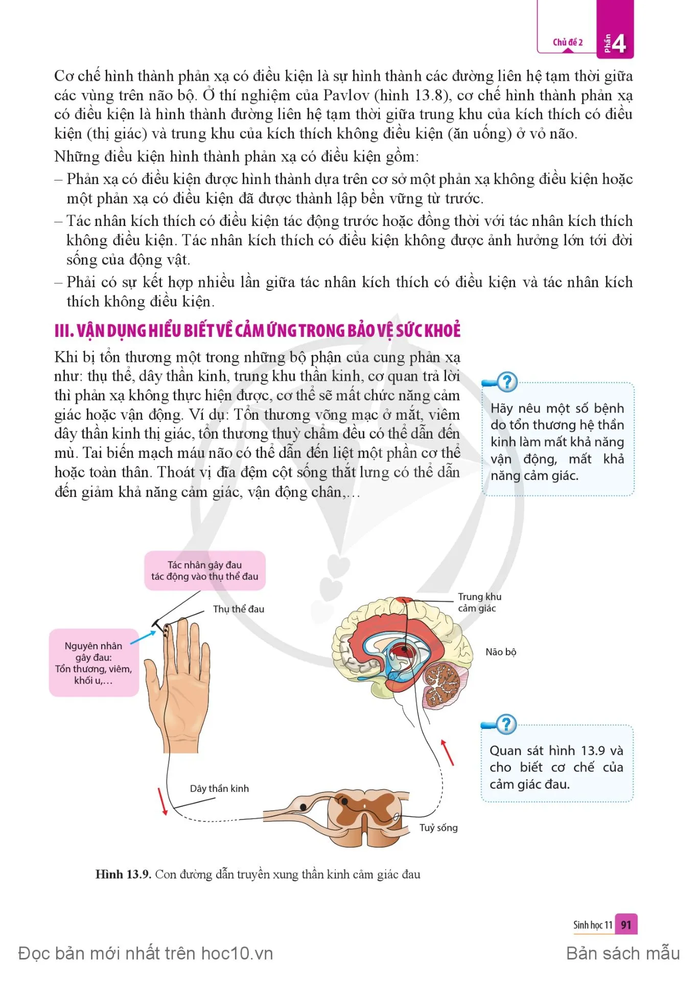 Bài 13. Cảm ứng ở động vật