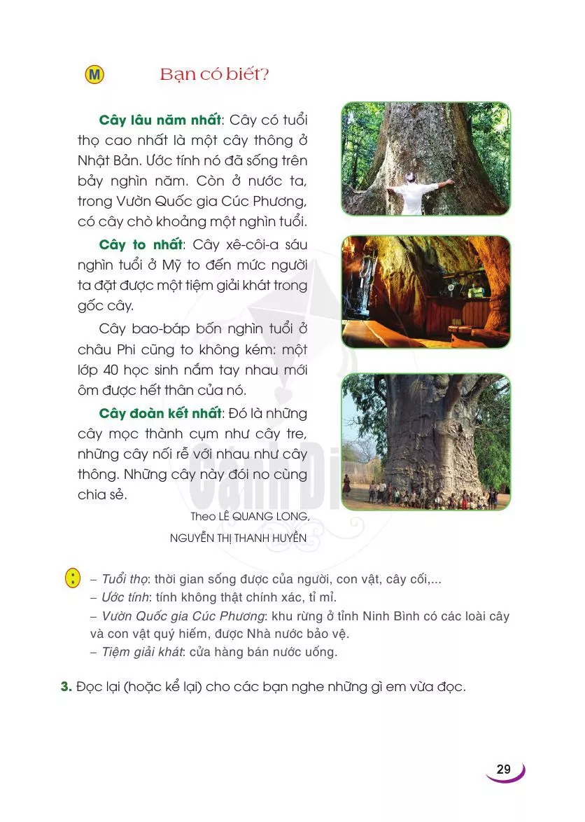 Tự đọc sách báo: Đọc sách báo viết về cây cối