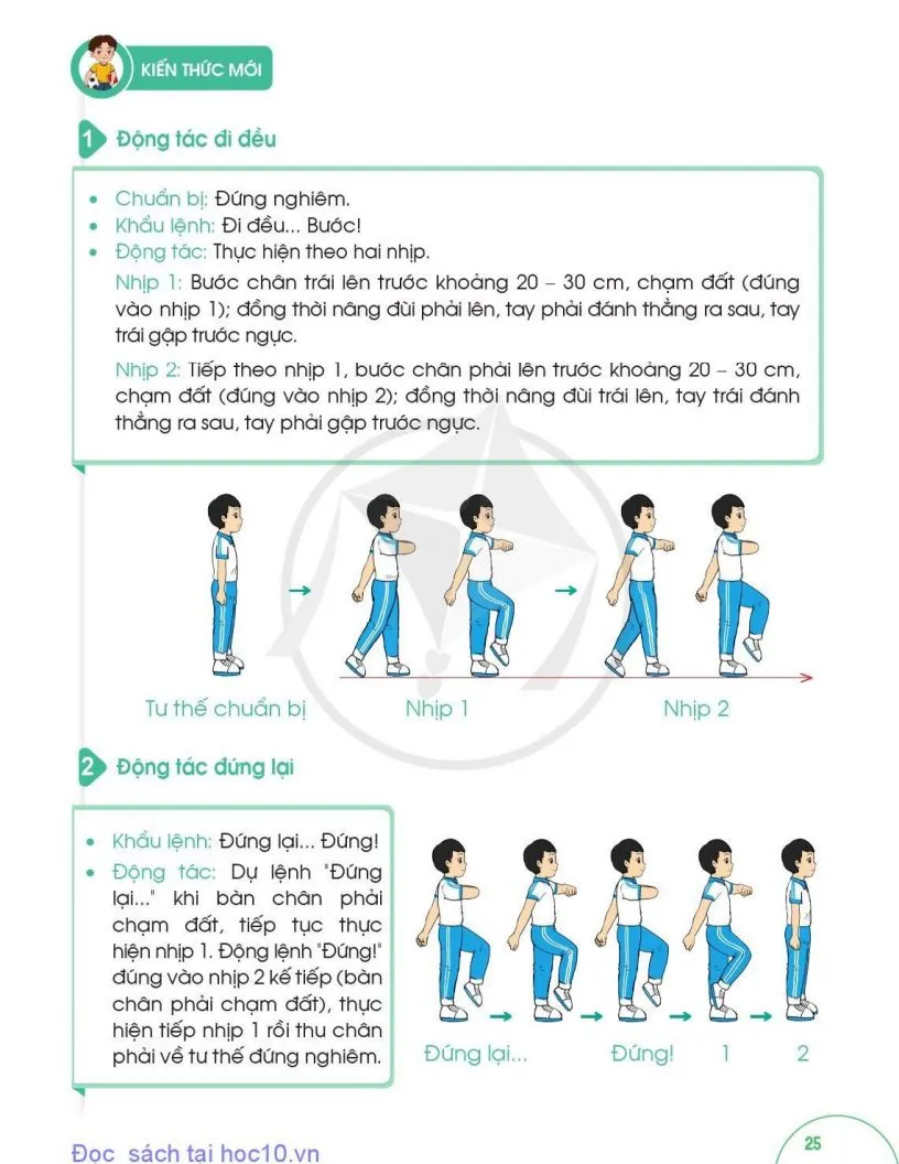 Bài 4. Động tác đi đều, đứng lại