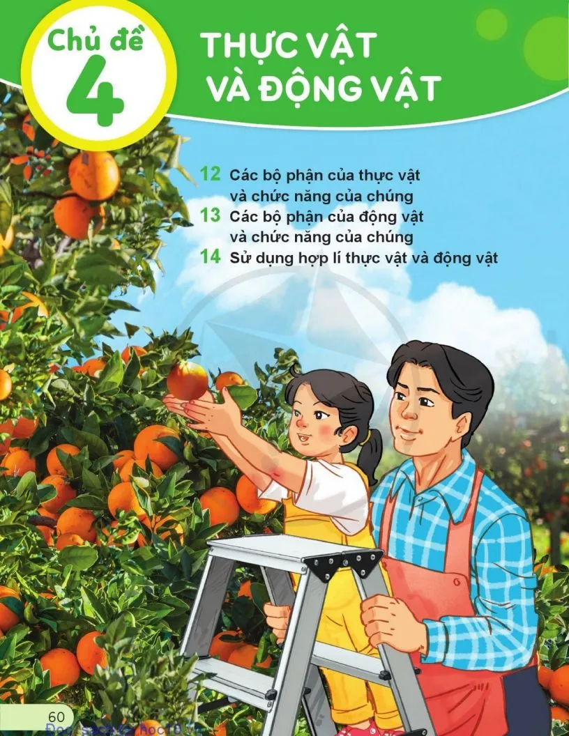 Chủ đề 4: THỰC VẬT VÀ ĐỘNG VẬT