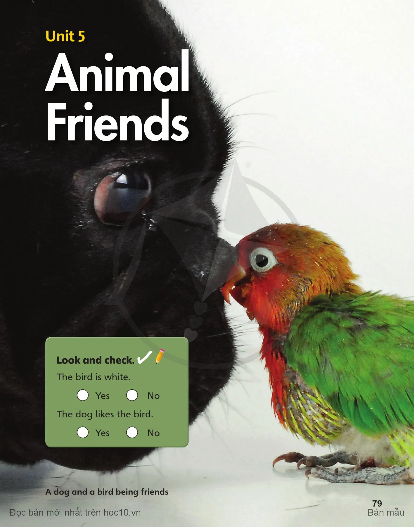 Unit 5 Animal Friends