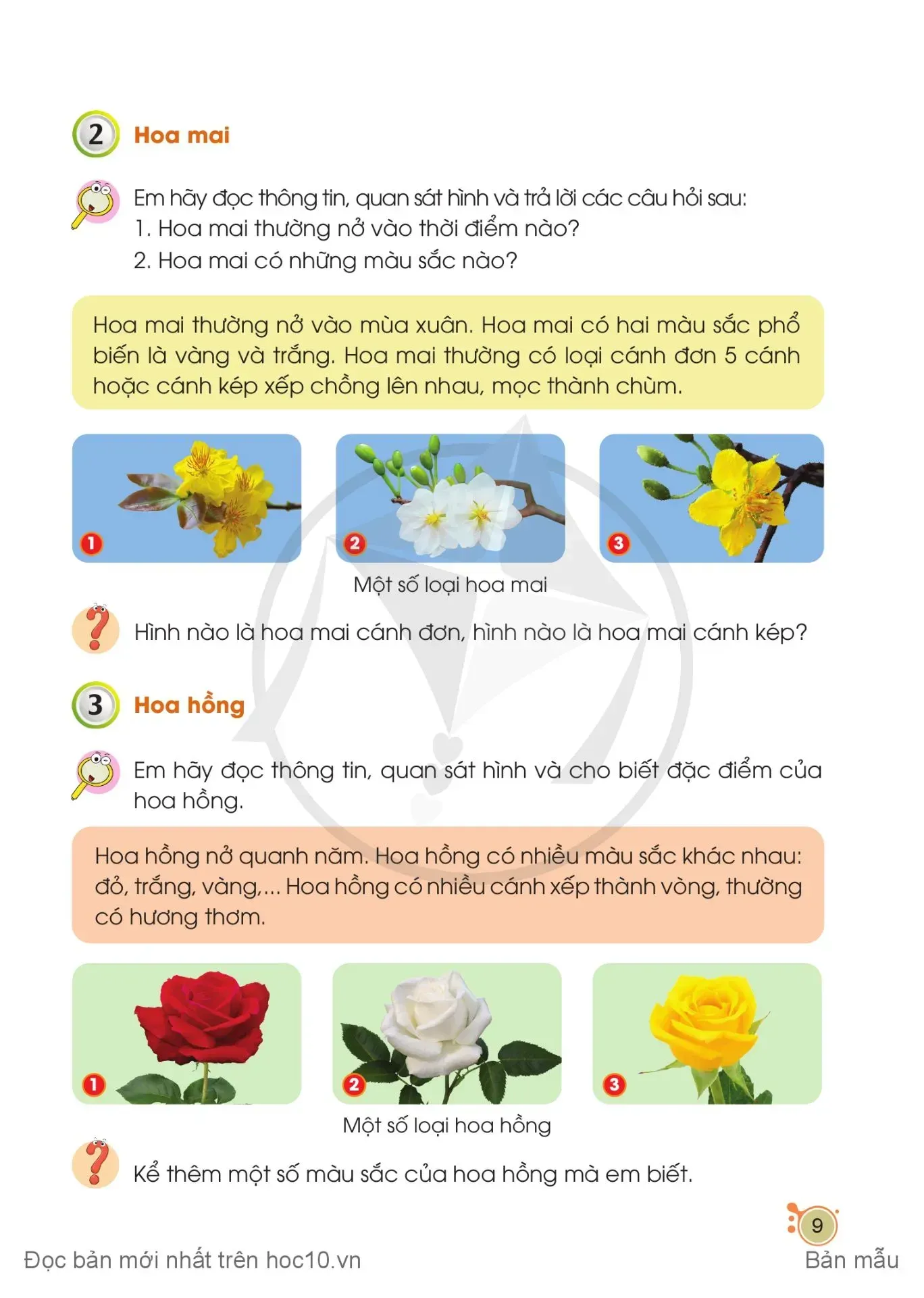 Bài 2. Một số loại hoa phổ biến