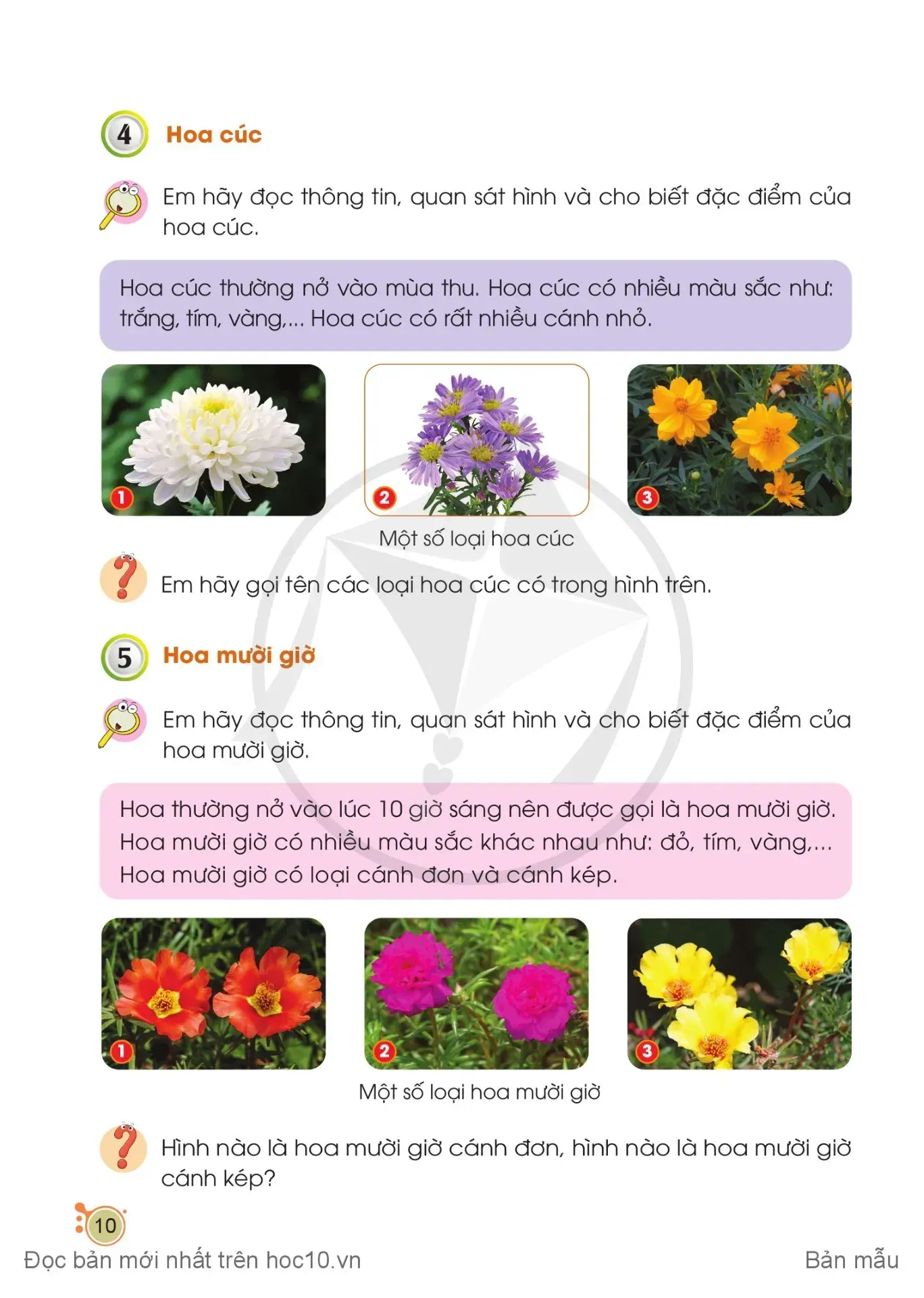 Bài 2. Một số loại hoa phổ biến
