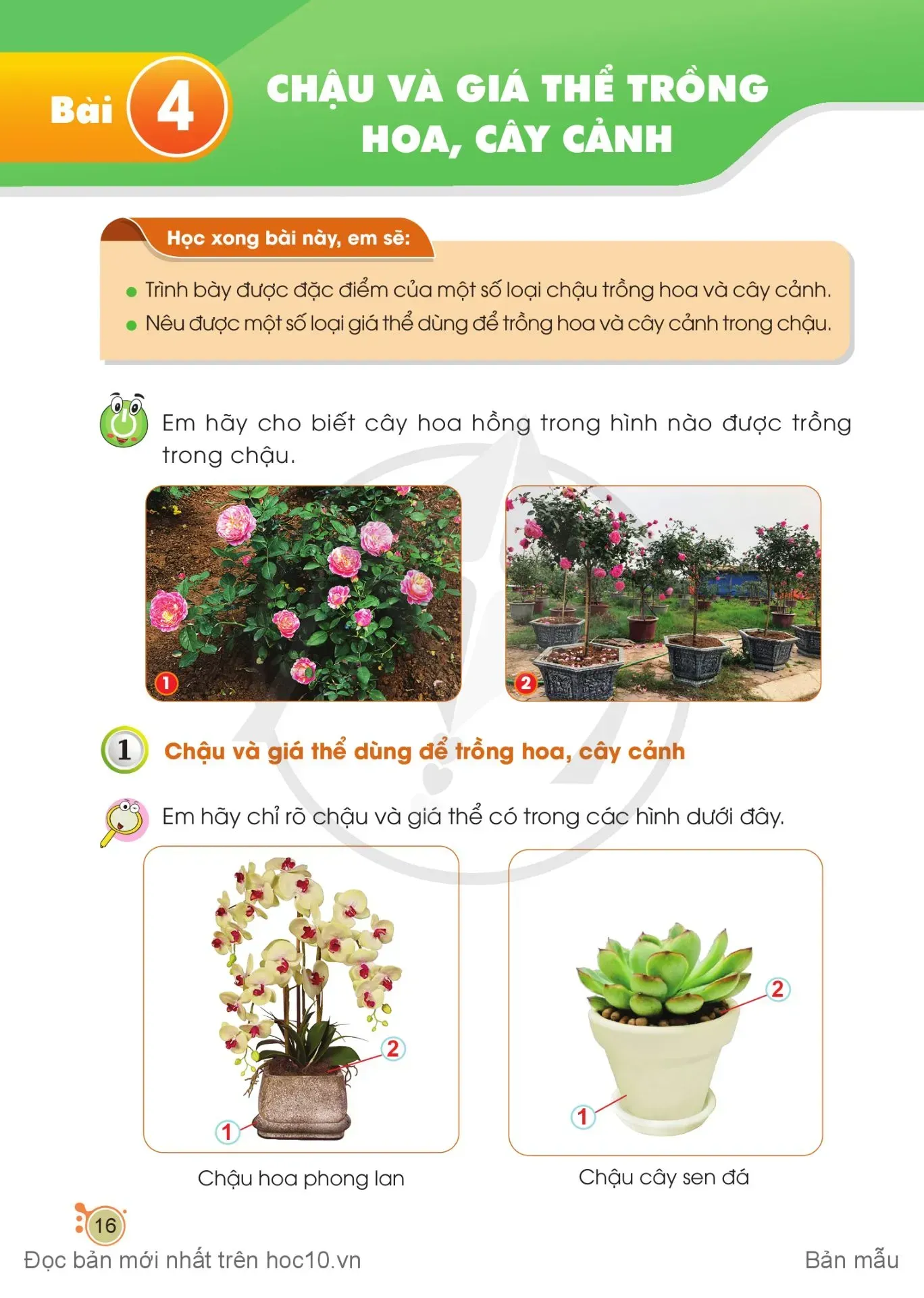 Bài 4. Chậu và giá thể trồng hoa, cây cảnh