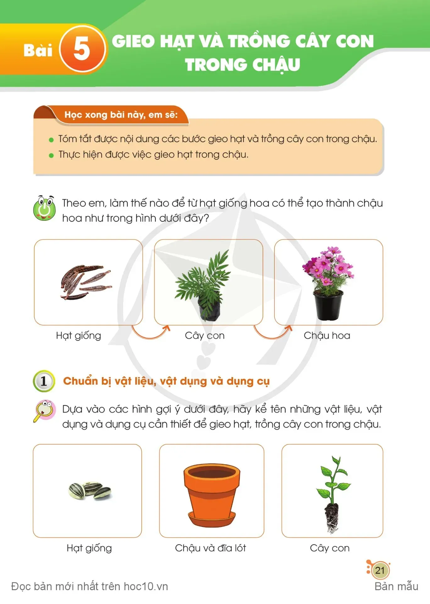 Bài 5. Gieo hạt và trồng cây con trong chậu 