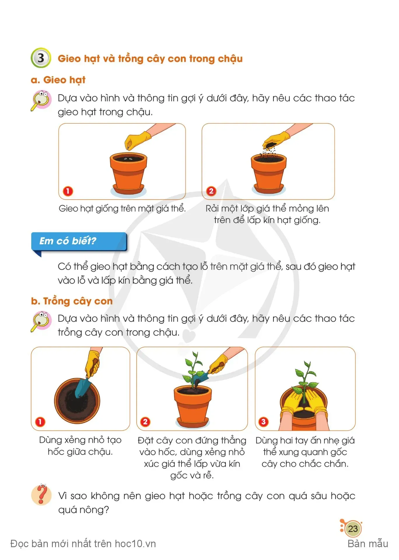 Bài 5. Gieo hạt và trồng cây con trong chậu 