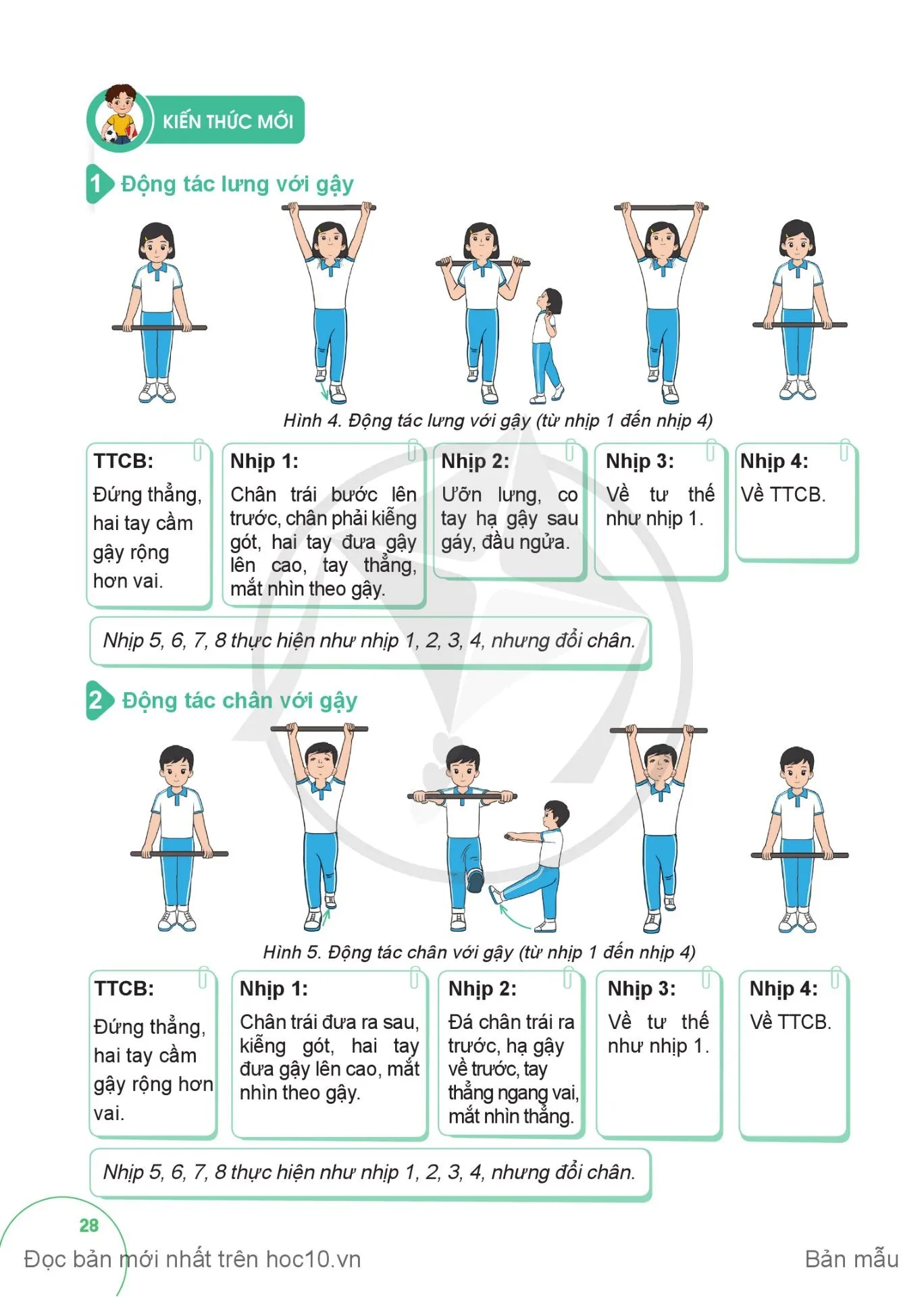 Bài 2. Động tác lưng, động tác chân, động tác nhảy và động tác điều hoà với gậy
