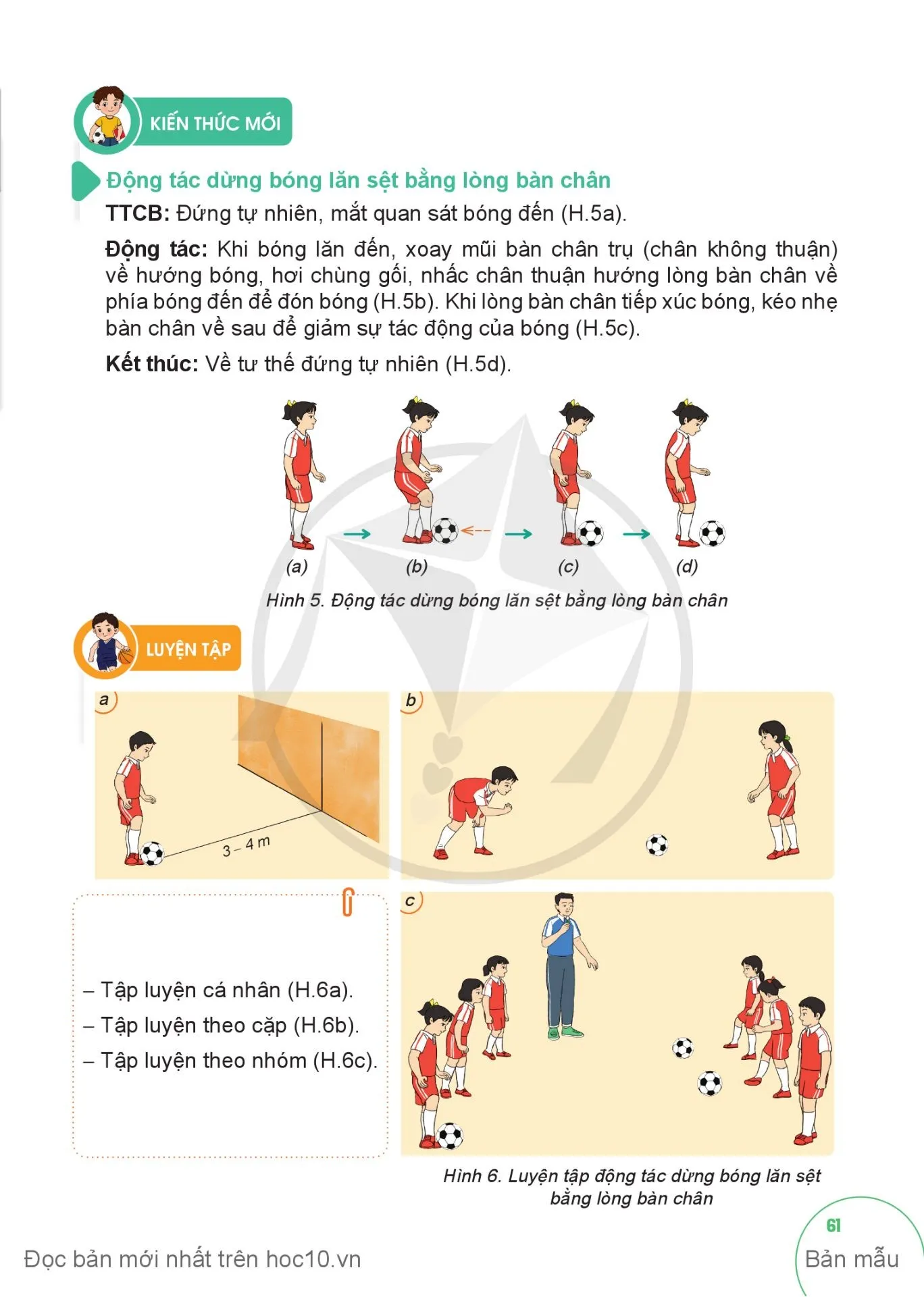 Bài 2. Động tác dừng bóng lăn sệt bằng lòng bàn chân