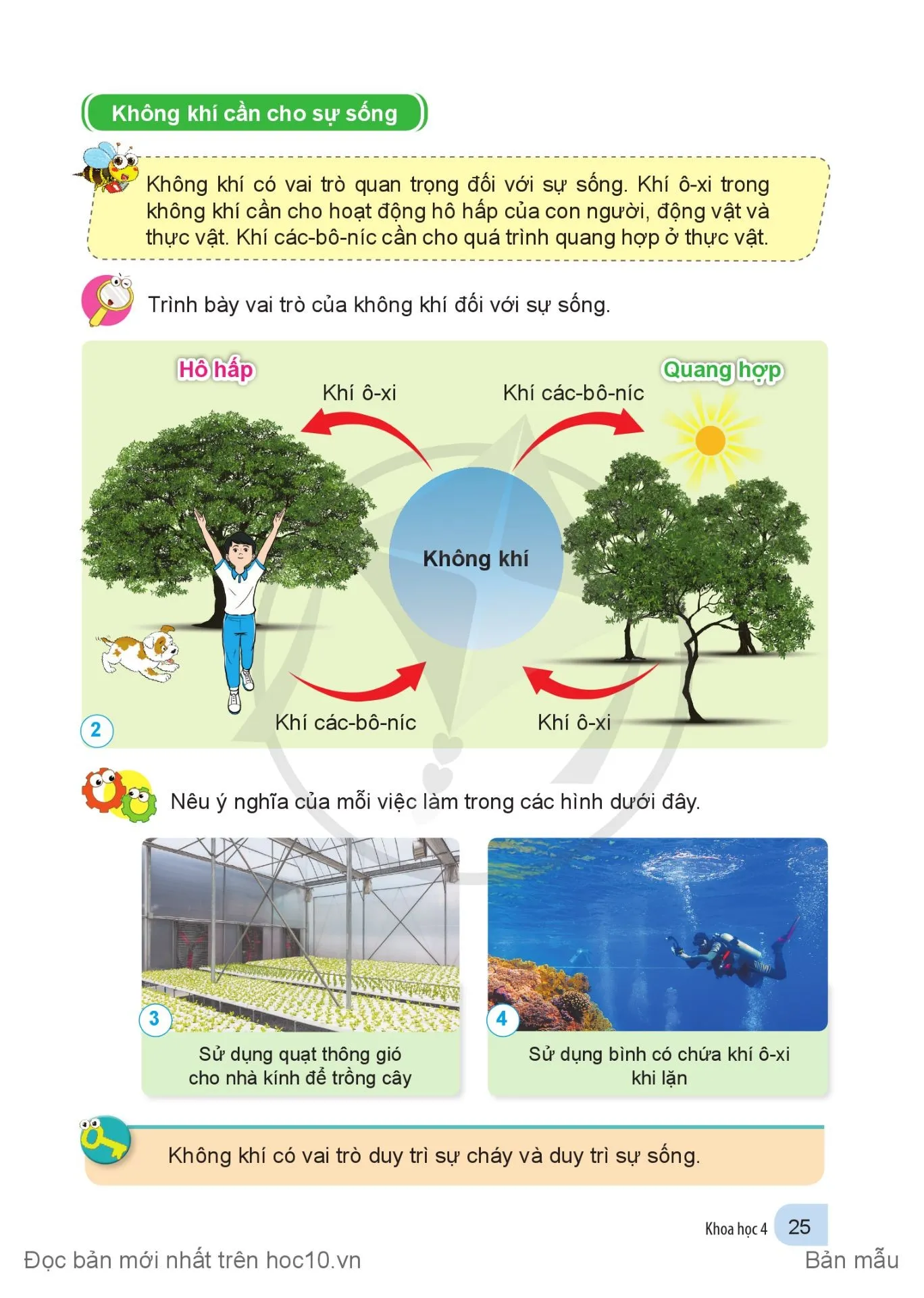 Bài 6.Vai trò của không khi và bảo vệ môi trường không khí