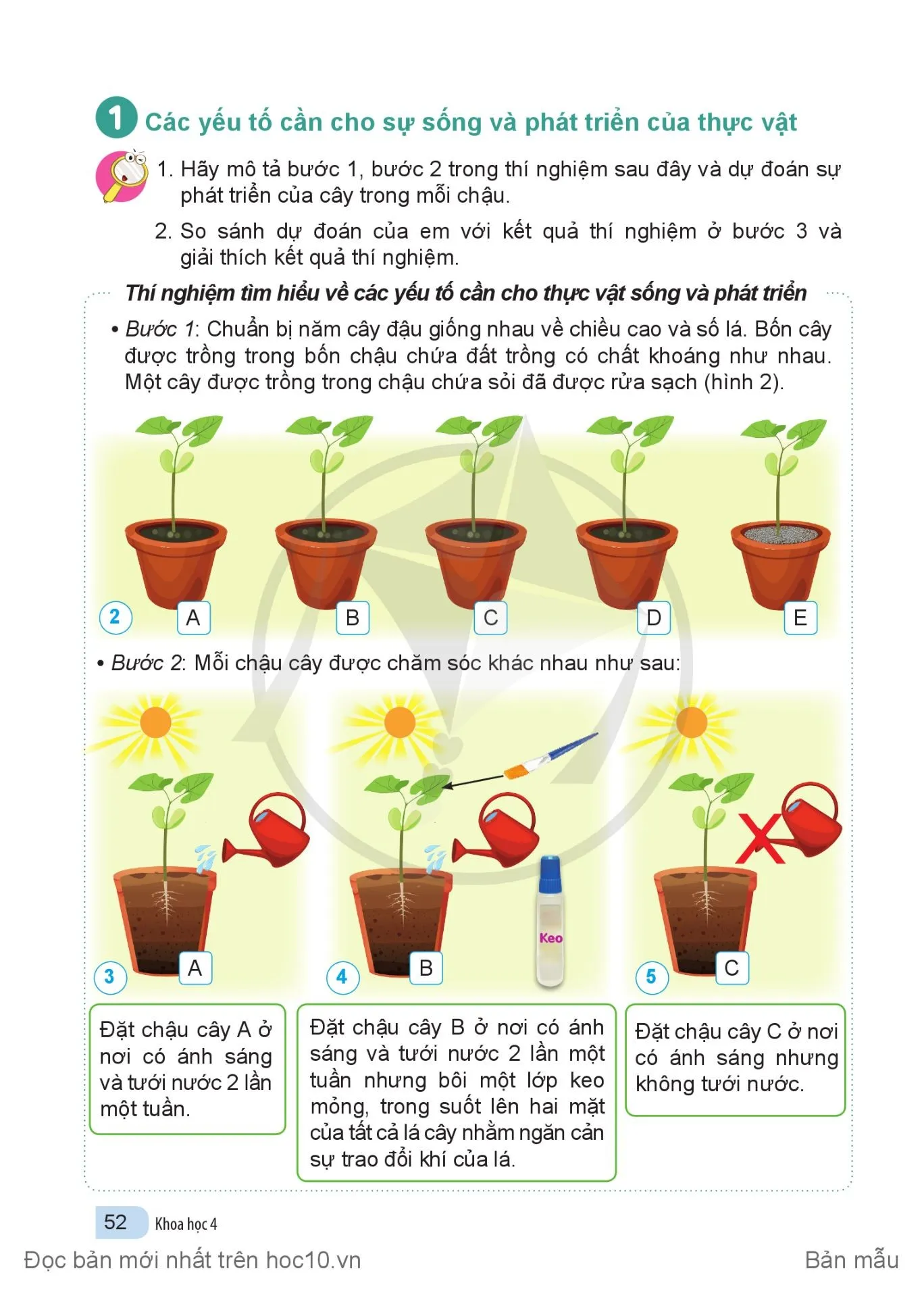 Bài 13. Nhu cầu sống của thực vật và chăm sóc cây trồng