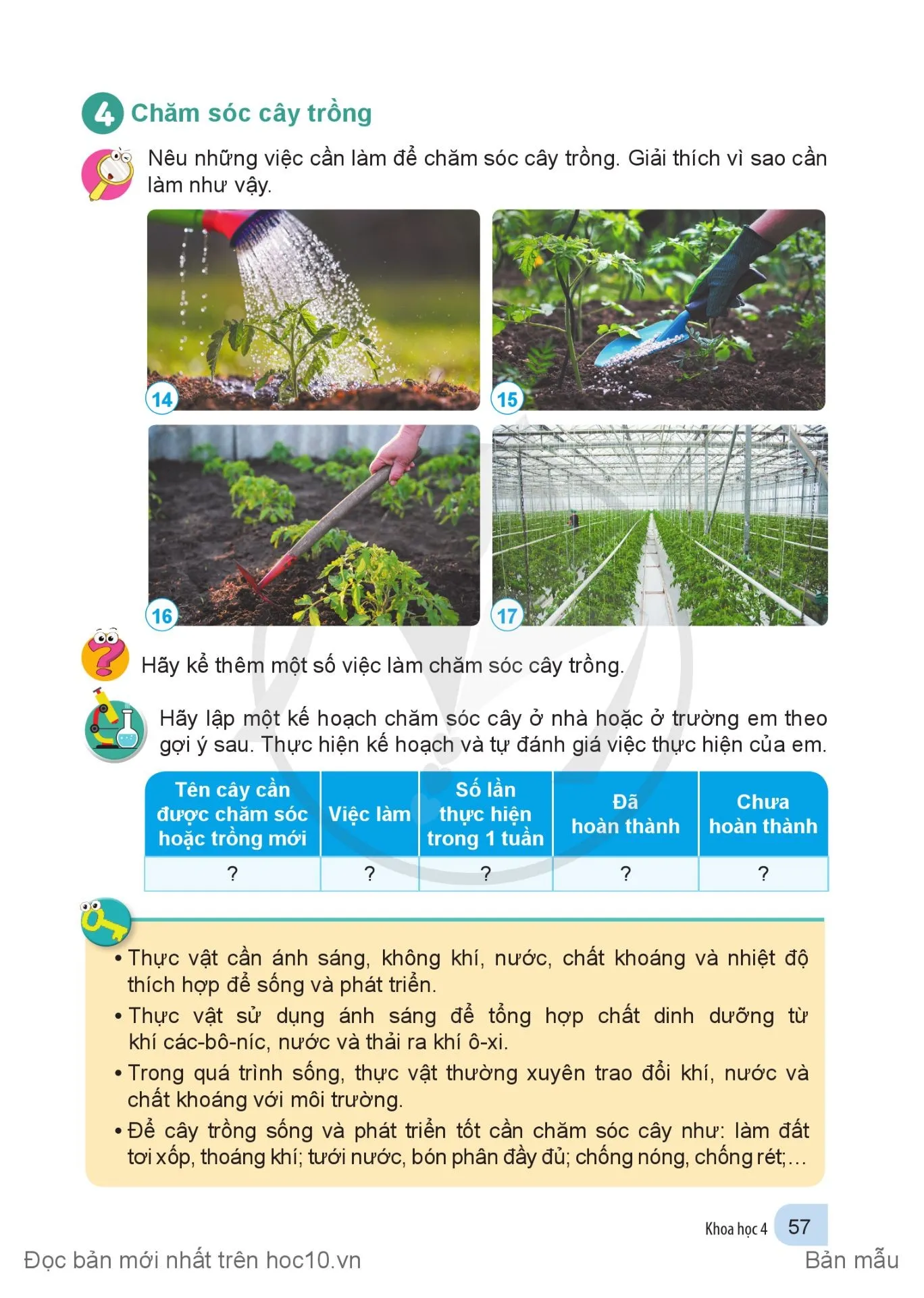 Bài 13. Nhu cầu sống của thực vật và chăm sóc cây trồng