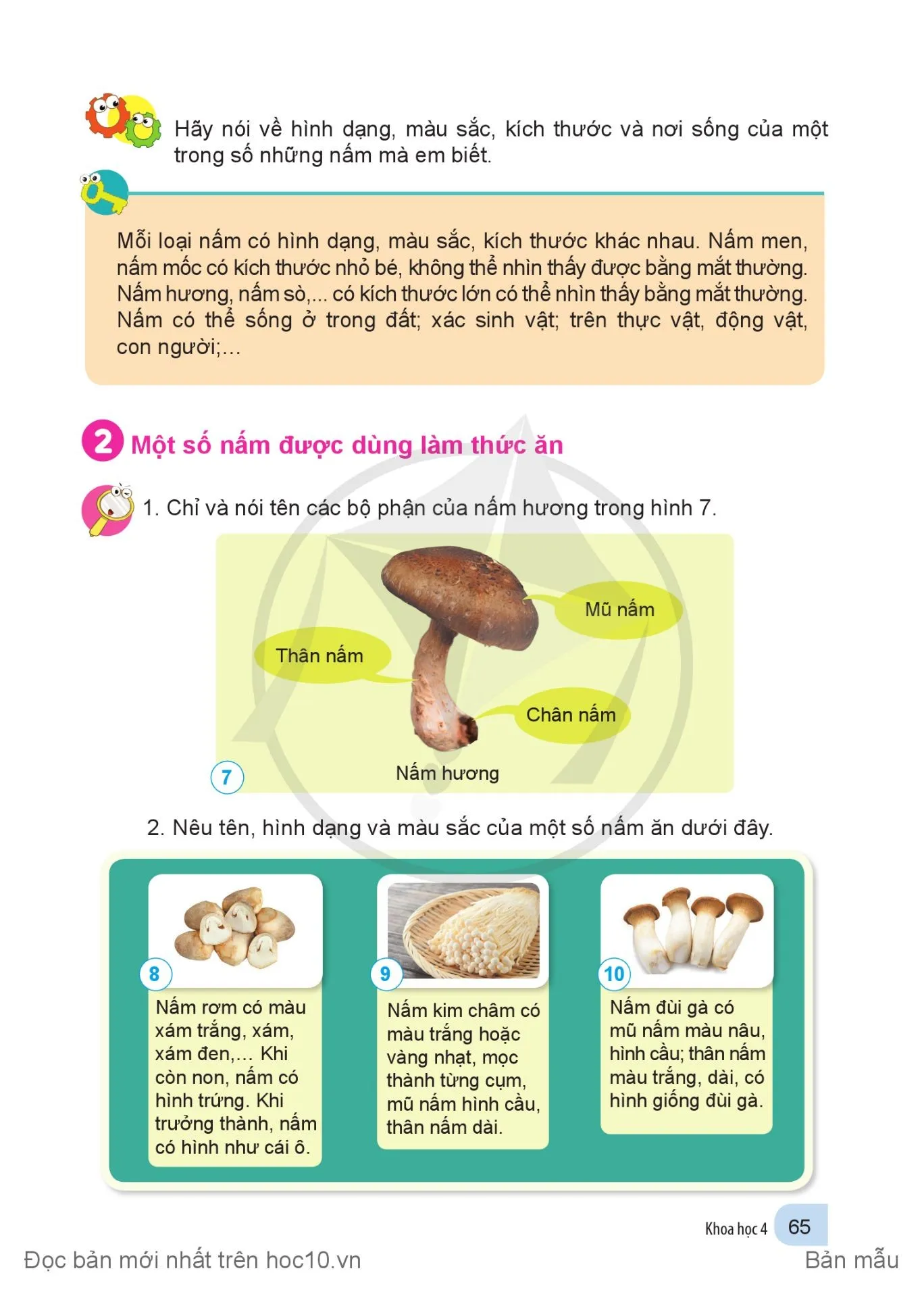Bài 15 Nấm và một số nấm được dùng làm thức ăn