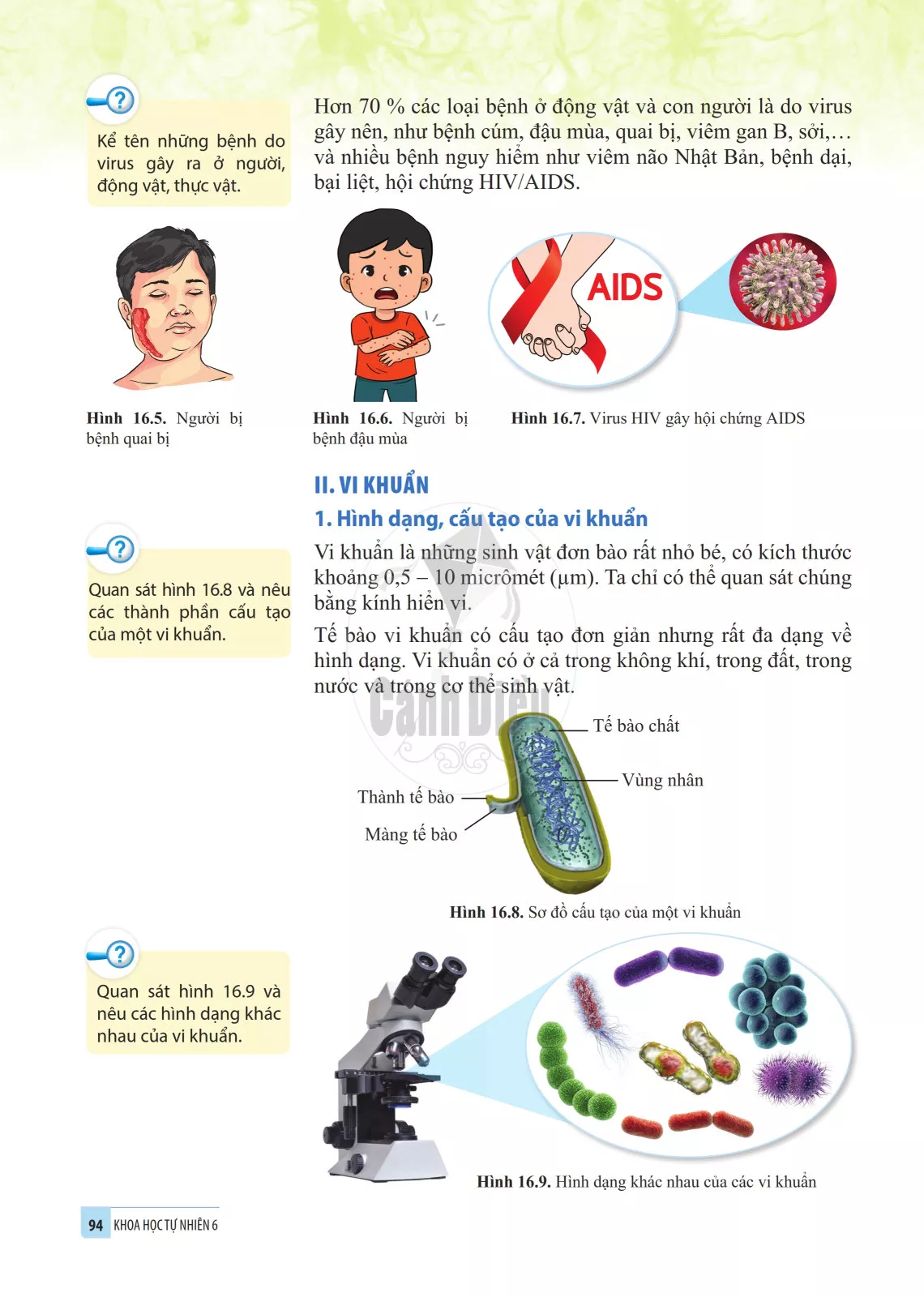 16. Virus và vi khuẩn