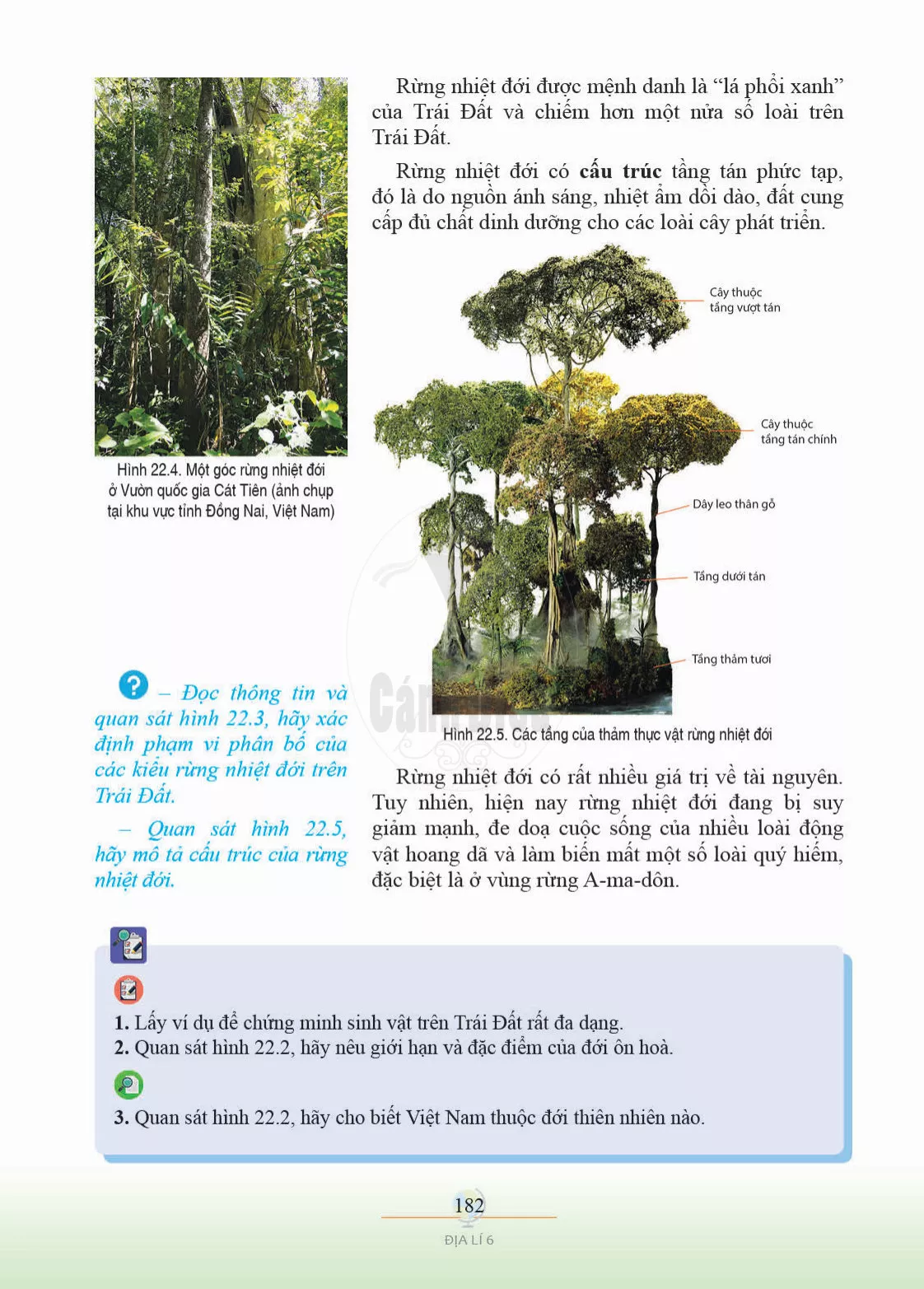 Bài 22. Sự đa dạng của thế giới sinh vật. Các đới thiên nhiên trên Trái Đất. Rừng nhiệt đới