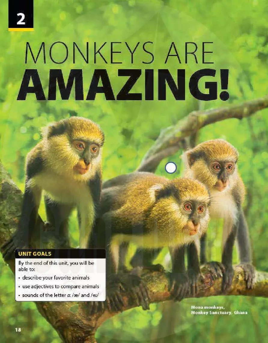 Unit 2. Monkeys Are Amazing!