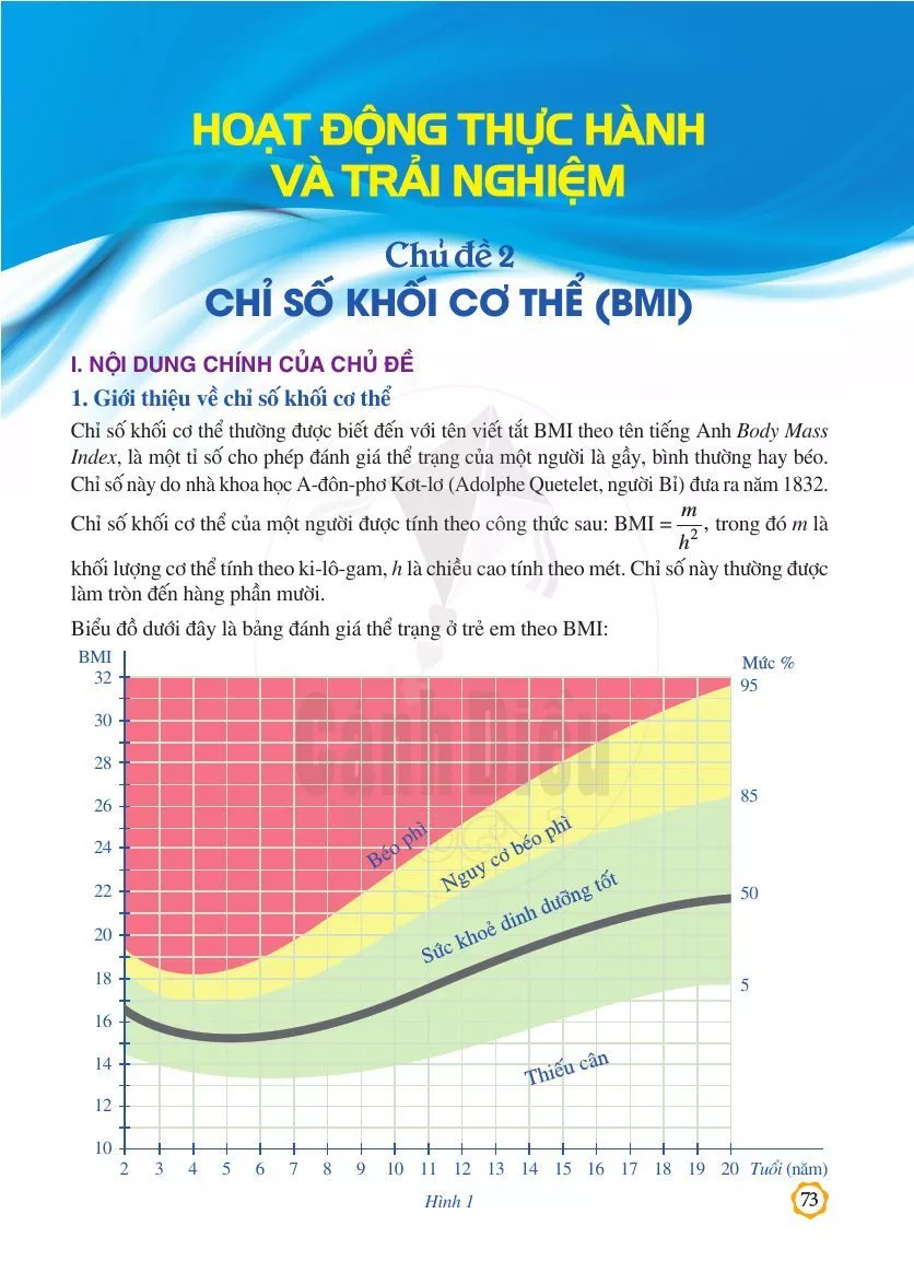 Chủ đề 2. Chỉ số khối cơ thể (BMI) 