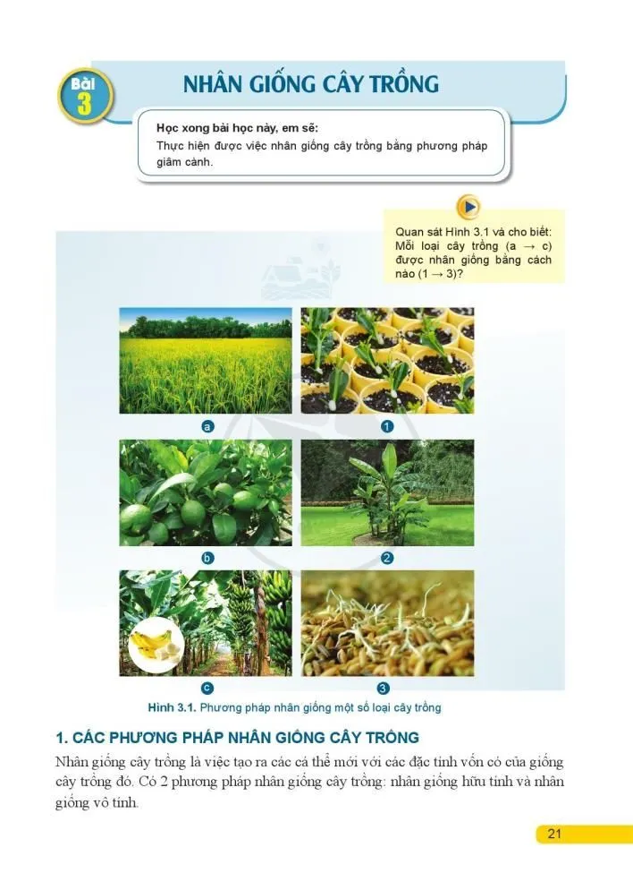 Bài 2. Quy trình trồng trọt