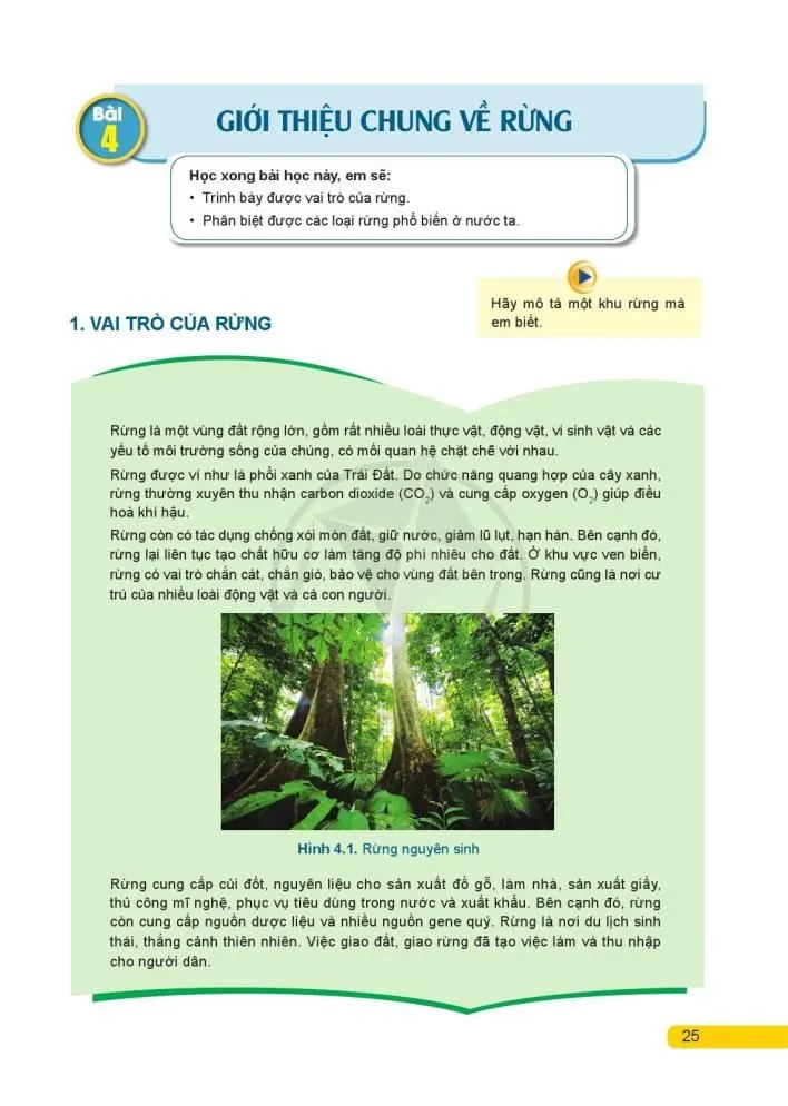 Bài 4. Giới thiệu chung về rừng.
