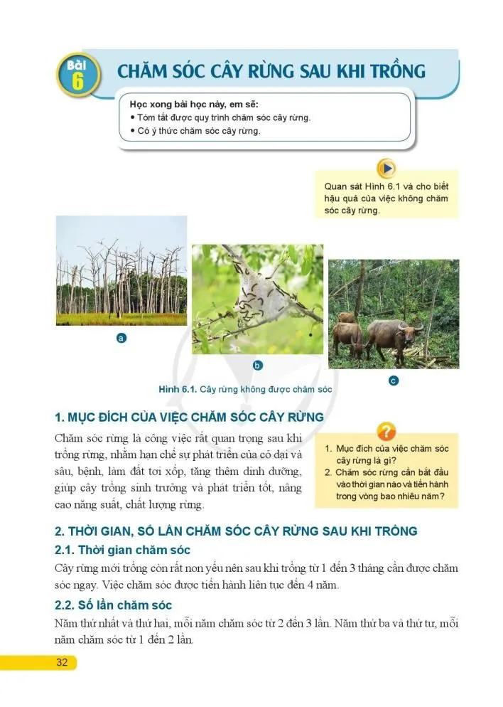 Bài 6. Chăm sóc cây rừng sau khi trồng 