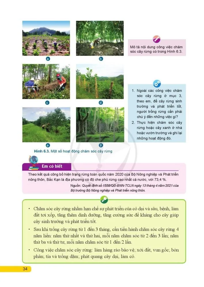 Bài 6. Chăm sóc cây rừng sau khi trồng 