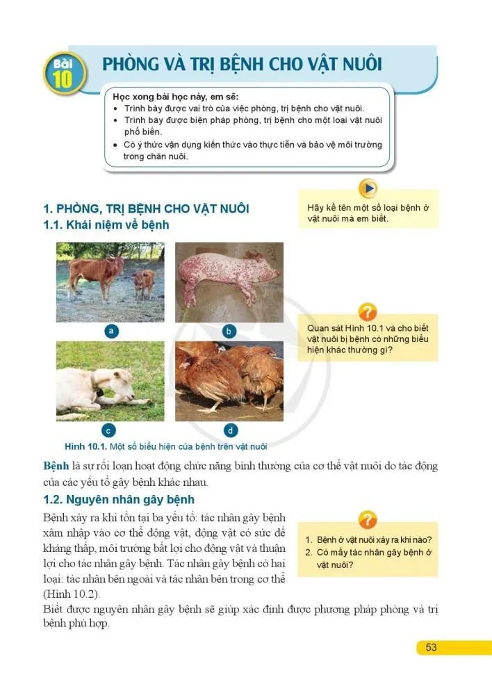 Bài 9. Nuôi dưỡng và chăm sóc vật nuôi 