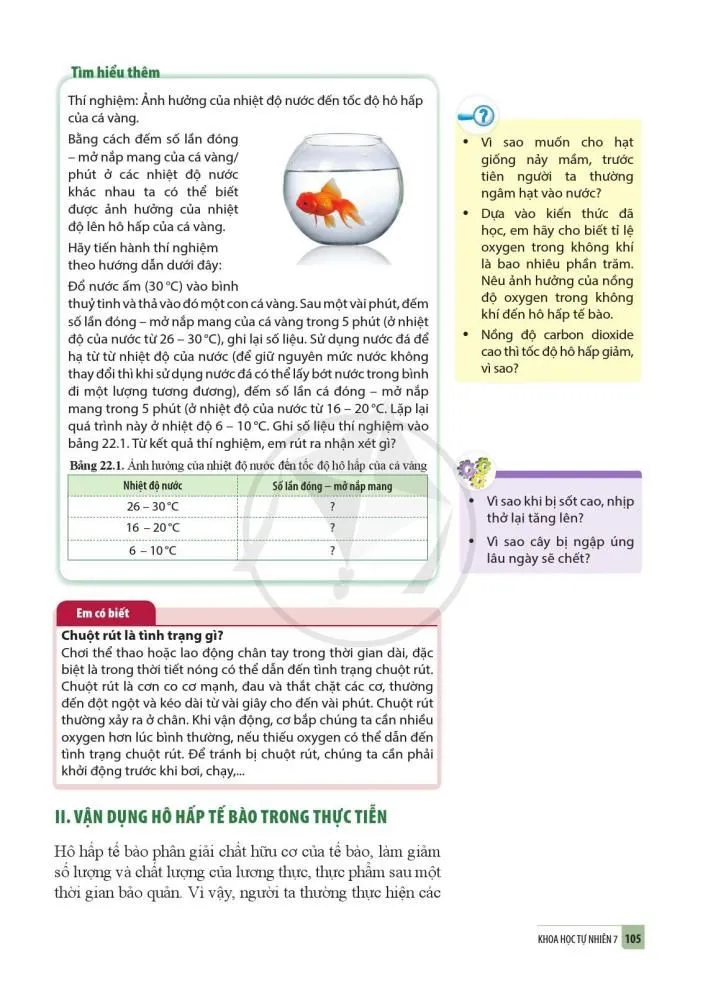 22. Các yếu tố ảnh hưởng đến hô hấp tế bào