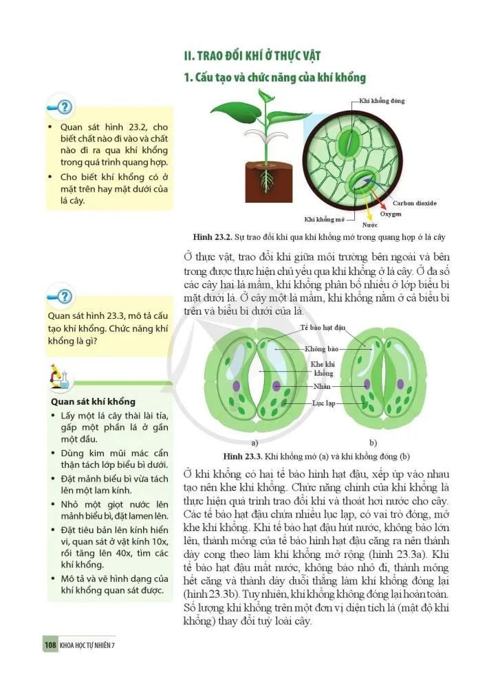 23. Trao đổi khí ở sinh vật