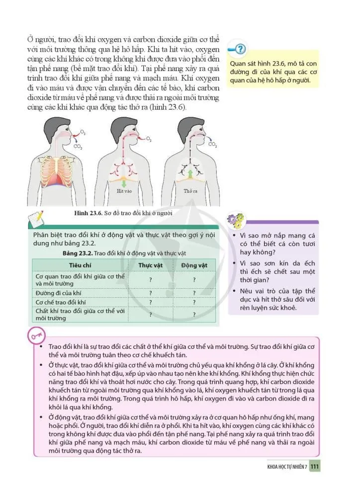 23. Trao đổi khí ở sinh vật