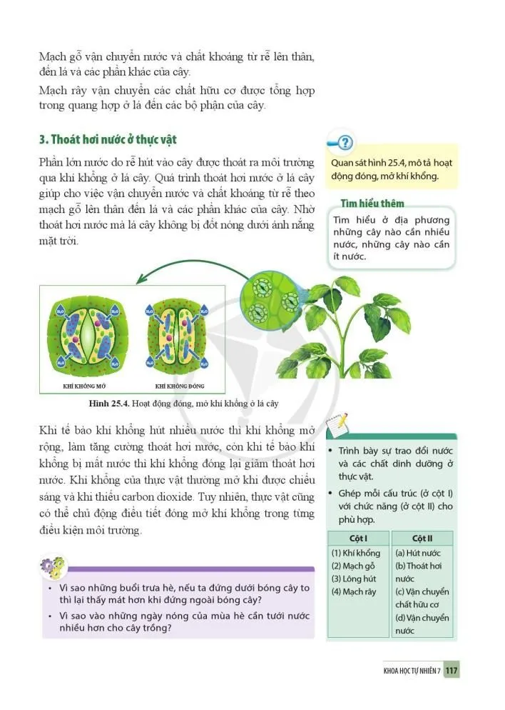 25. Trao đổi nước và các chất dinh dưỡng ở thực vật
