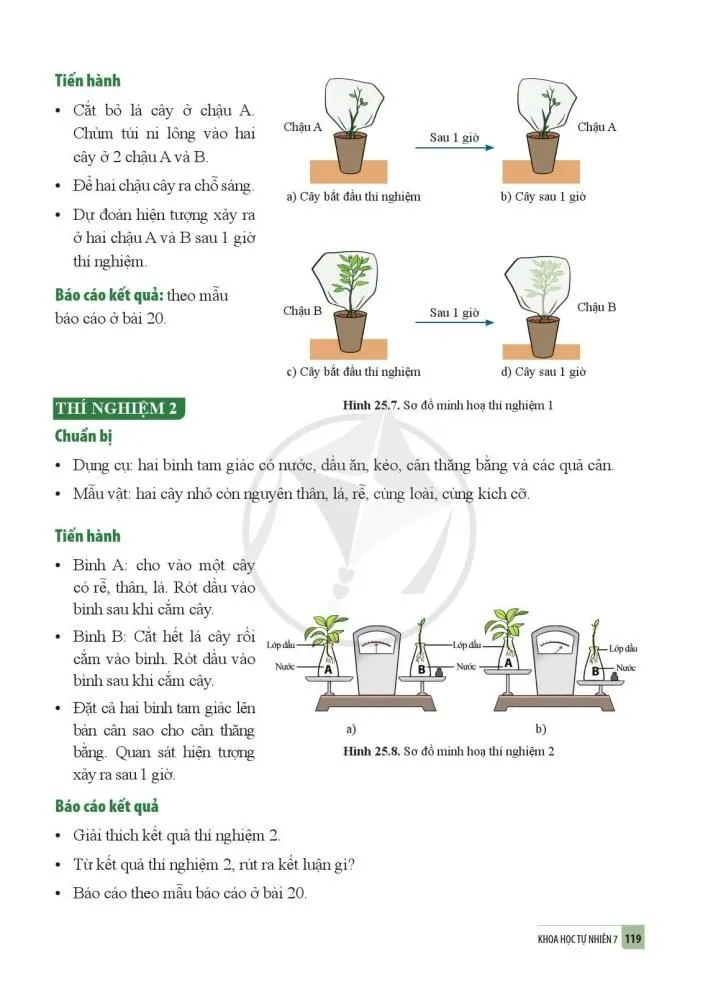 25. Trao đổi nước và các chất dinh dưỡng ở thực vật