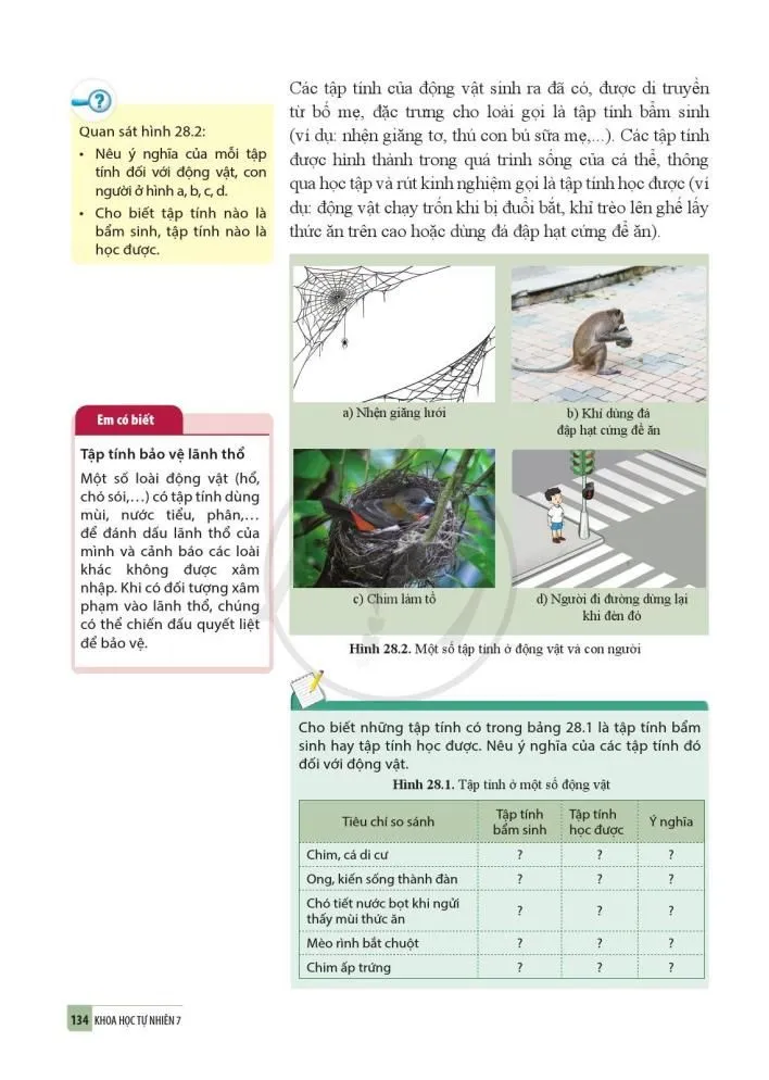 28. Cảm ứng ở động vật