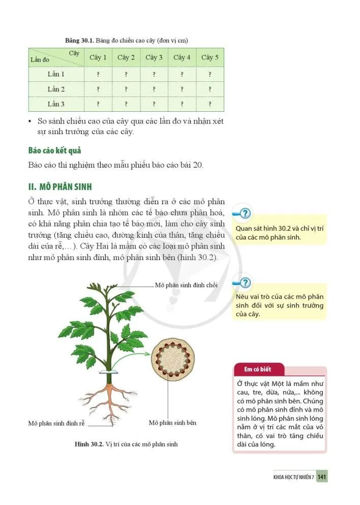 30. Sinh trưởng và phát triển ở thực vật