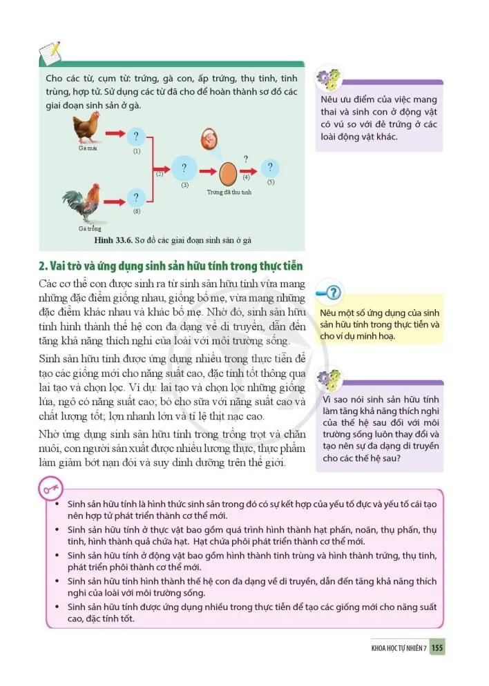 33. Sinh sản hữu tính ở sinh vật