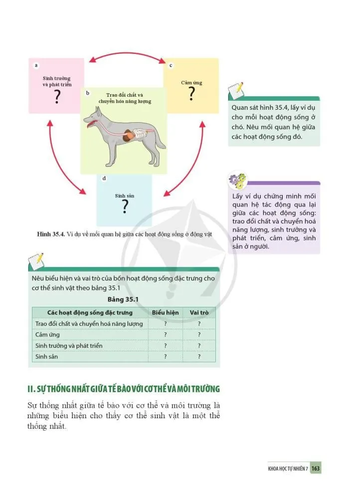 35. Sự thống nhất về cấu trúc và các hoạt động sống trong cơ thể sinh vật