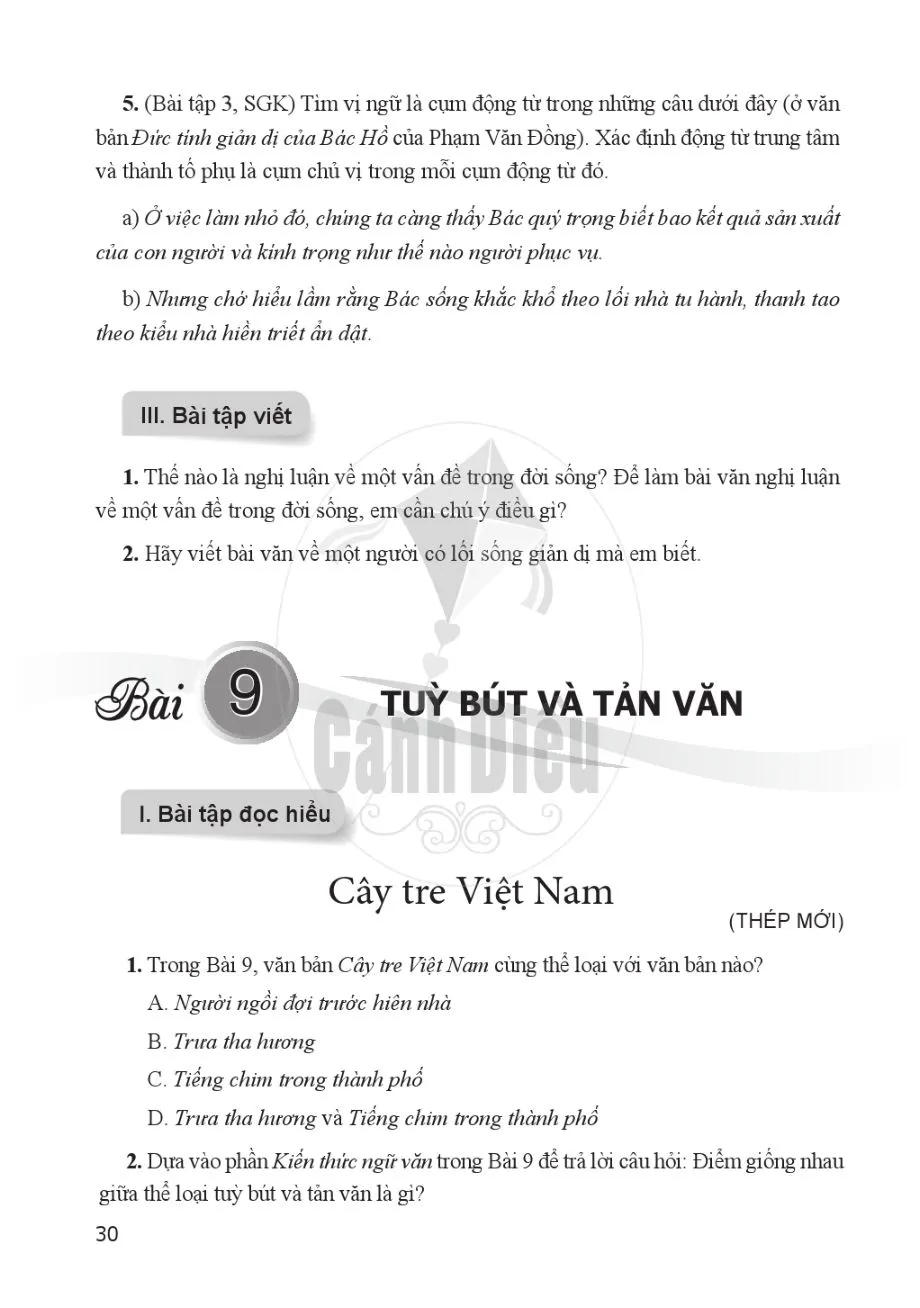 Bài tập viết