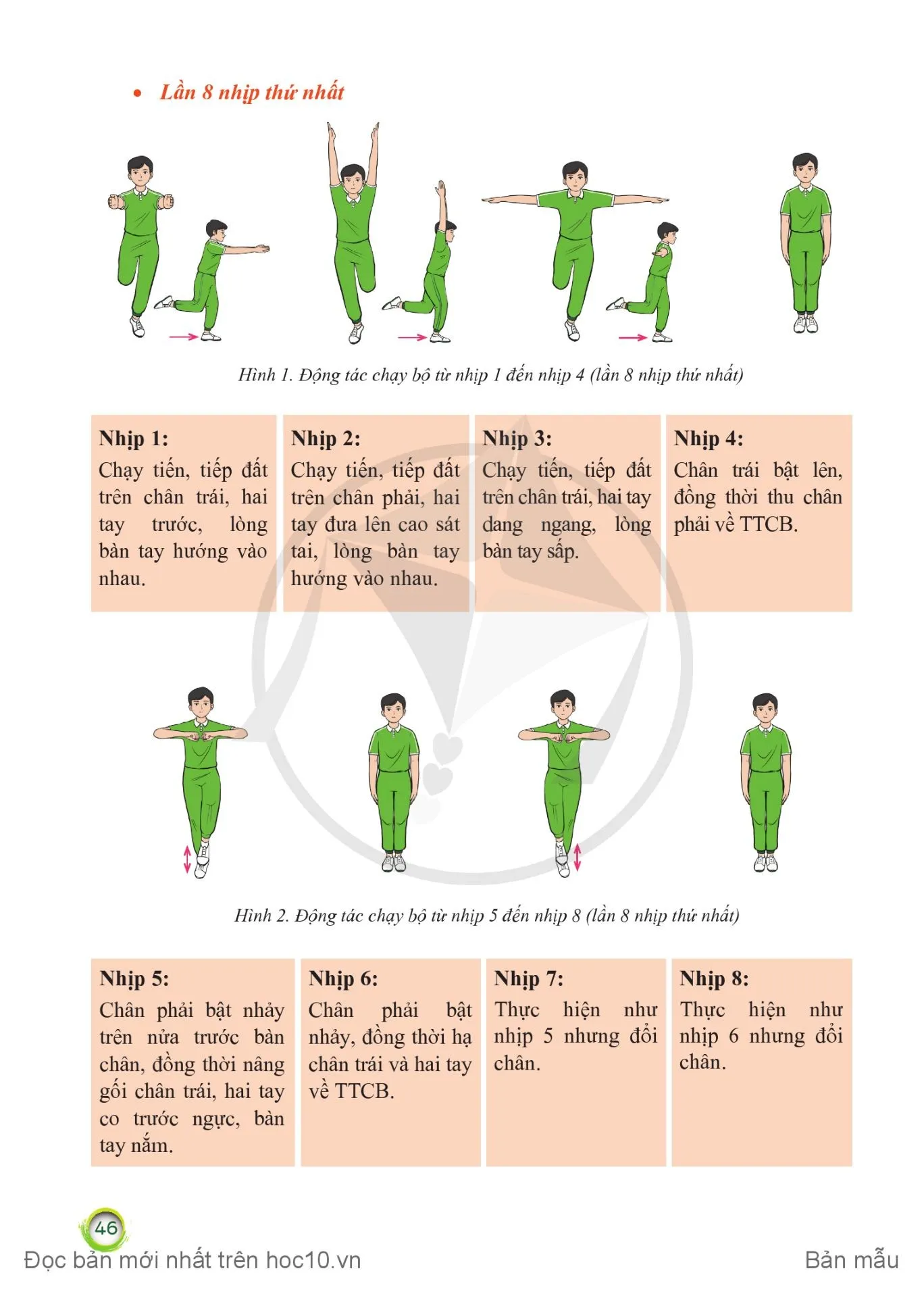 Bài 2. Bài thể dục nhịp điệu (Động tác chạy bộ, động tác bụng và động tác điều hoà)