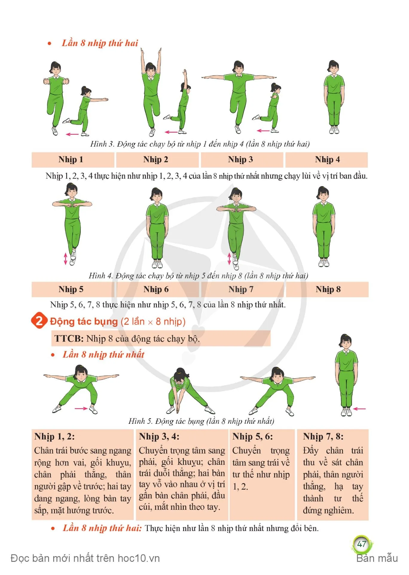 Bài 2. Bài thể dục nhịp điệu (Động tác chạy bộ, động tác bụng và động tác điều hoà)