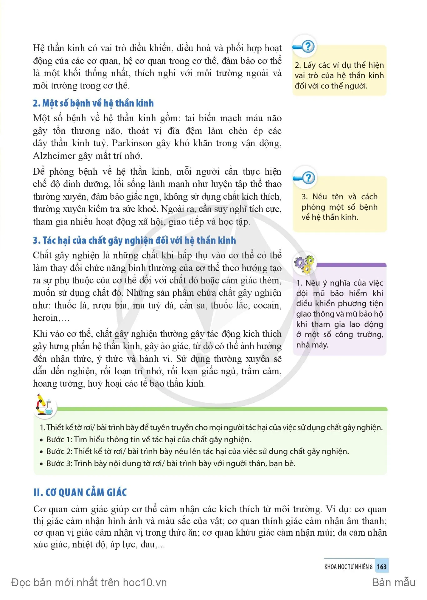 34. Hệ thần kinh và các giác quan ở người