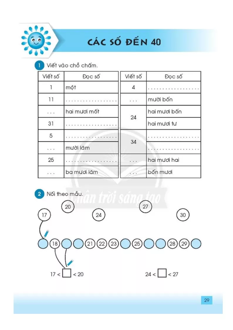 • Các số đến 40