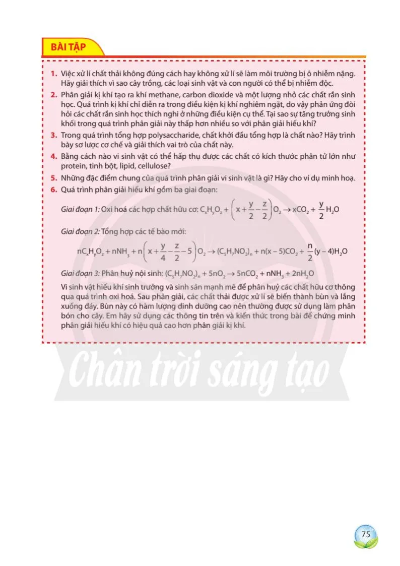 Bài 10: Vai trò của vi sinh vật trong xử lí ô nhiễm môi trường.