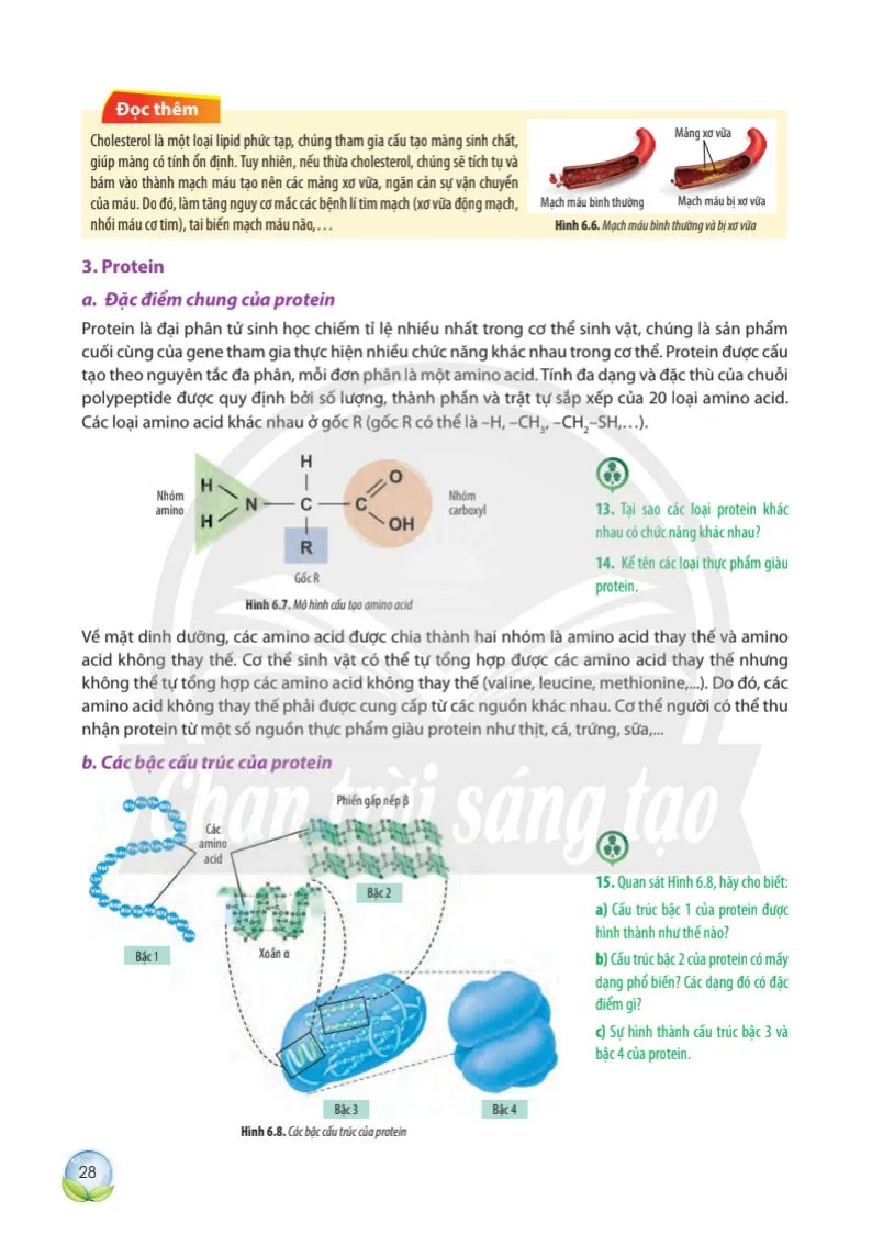 Bài 6: Các phân tử sinh học trong tế bào ..
