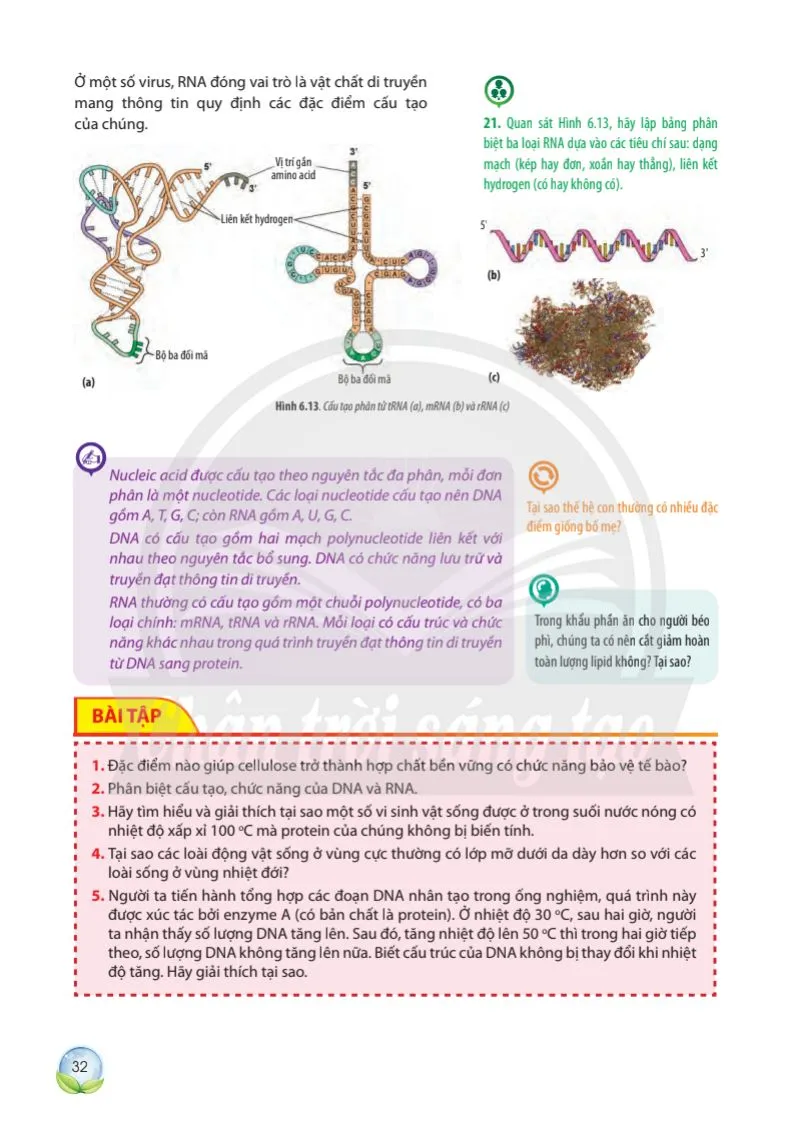 Bài 6: Các phân tử sinh học trong tế bào ..